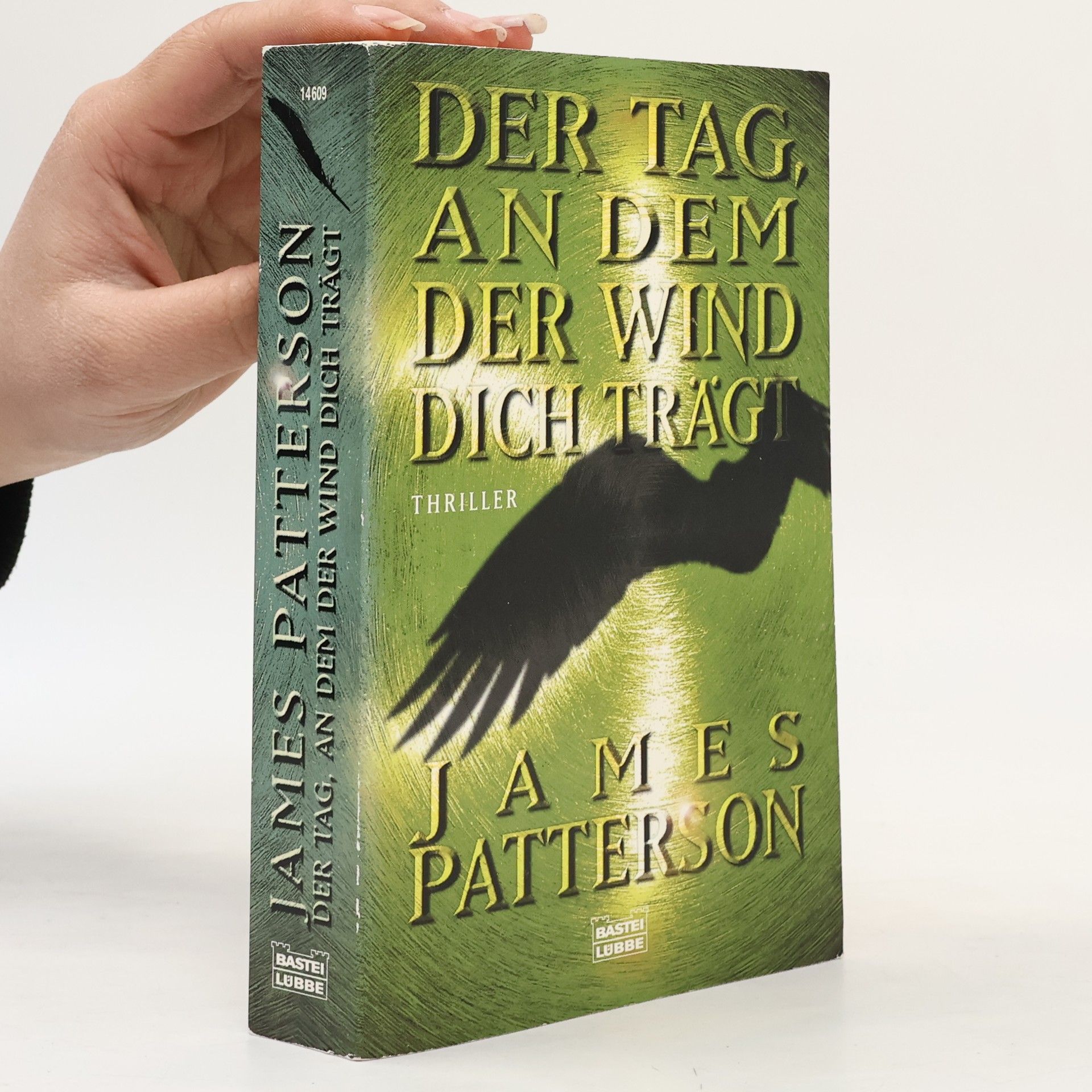 James Patterson Der Tag, an dem der Wind dich trägt