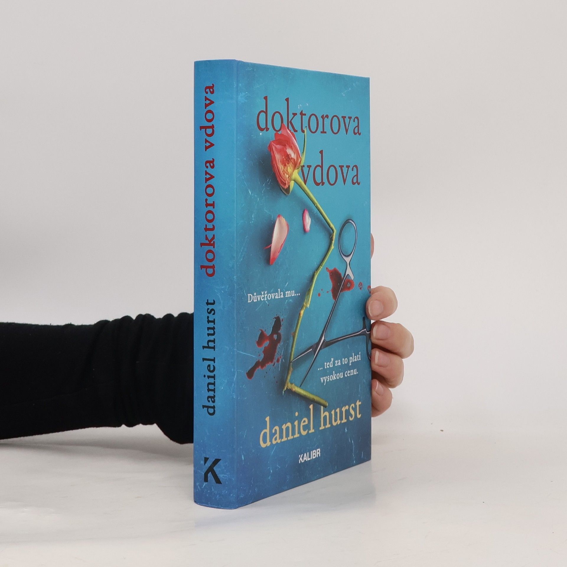Daniel Hürst Doktorova vdova