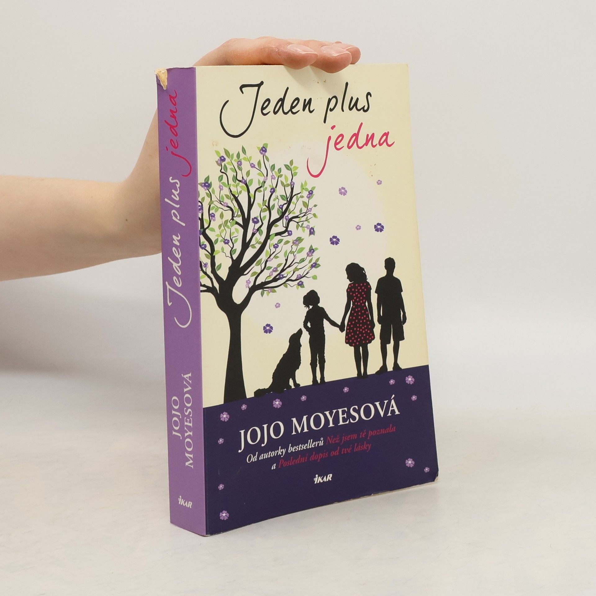 Jojo Moyes Jeden plus jedna