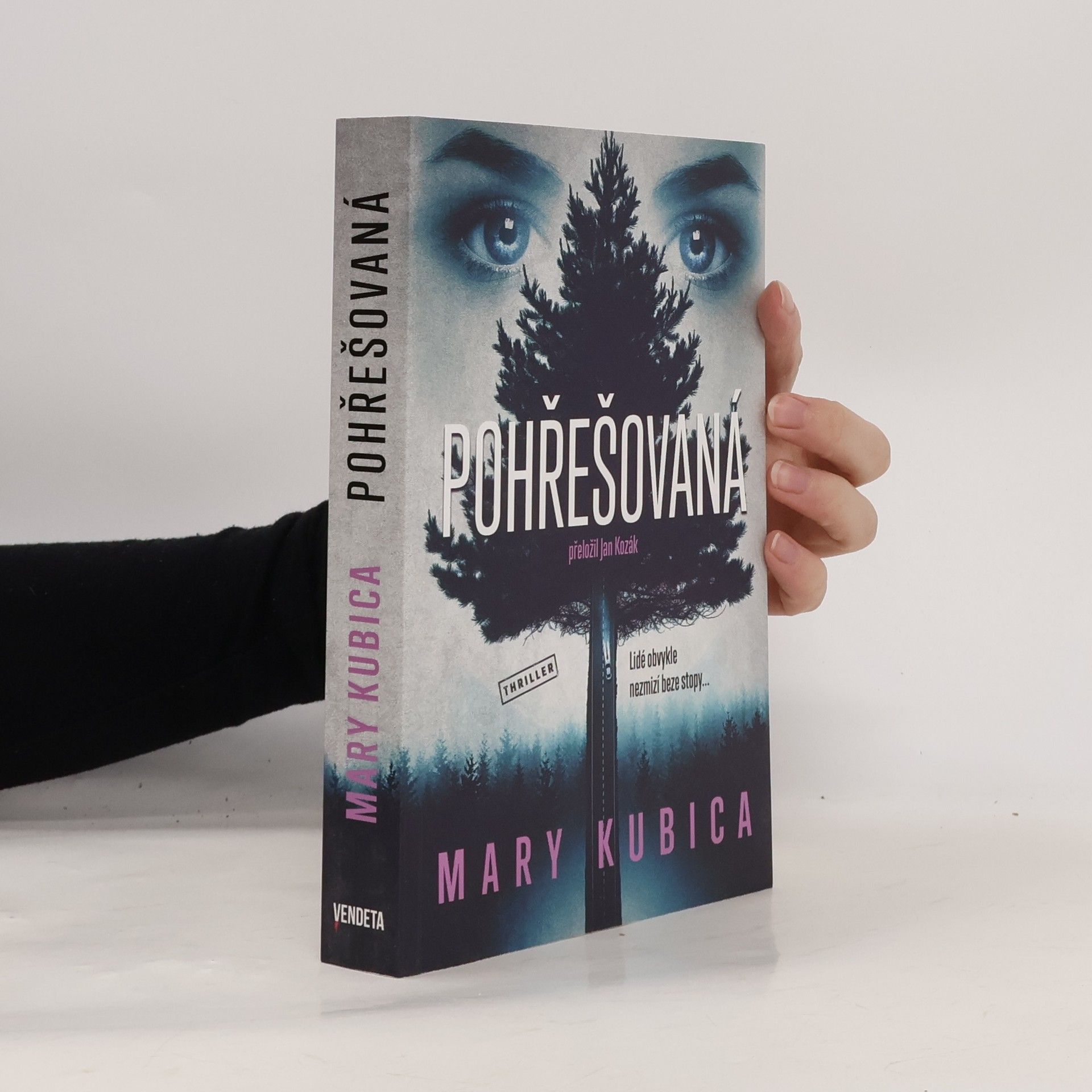 Mary Kubica Pohřešovaná