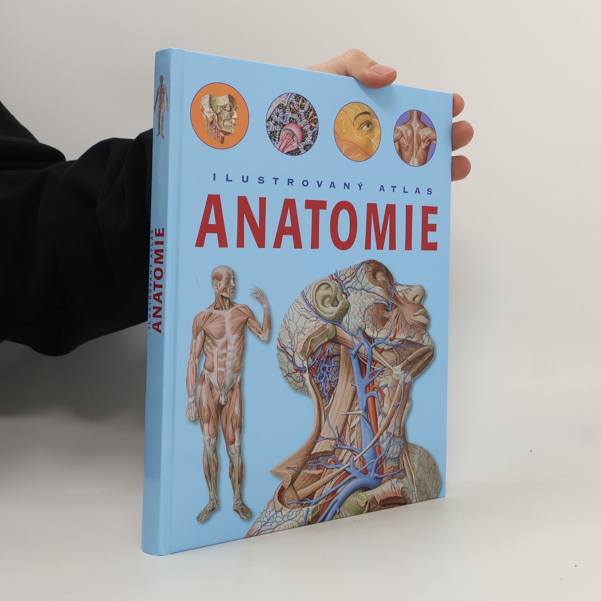 Adriana Rigutti Ilustrovaný atlas anatomie