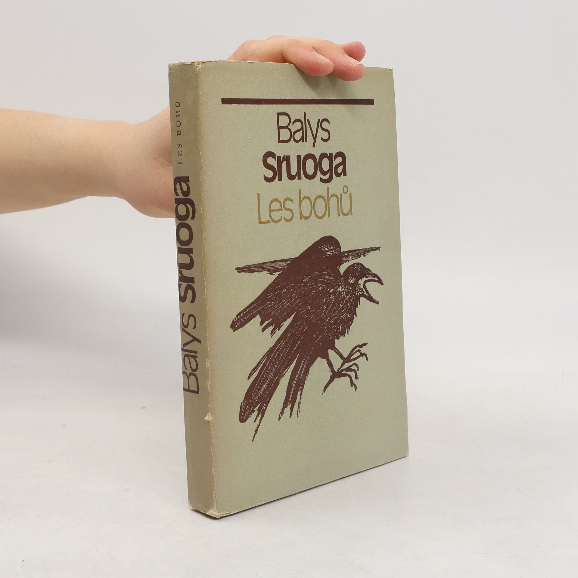 Balys Sruoga Les bohů