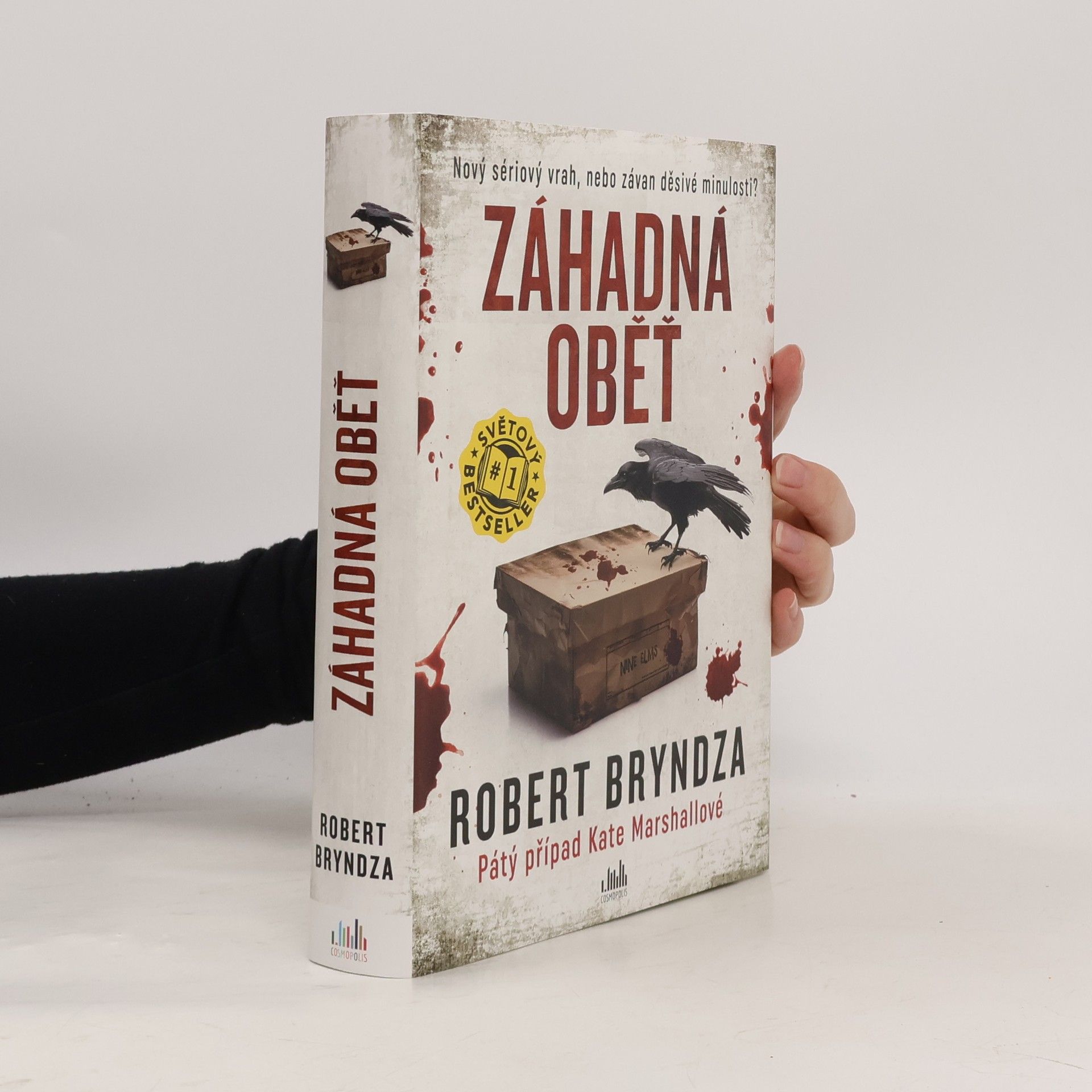 Robert Bryndza Záhadná oběť