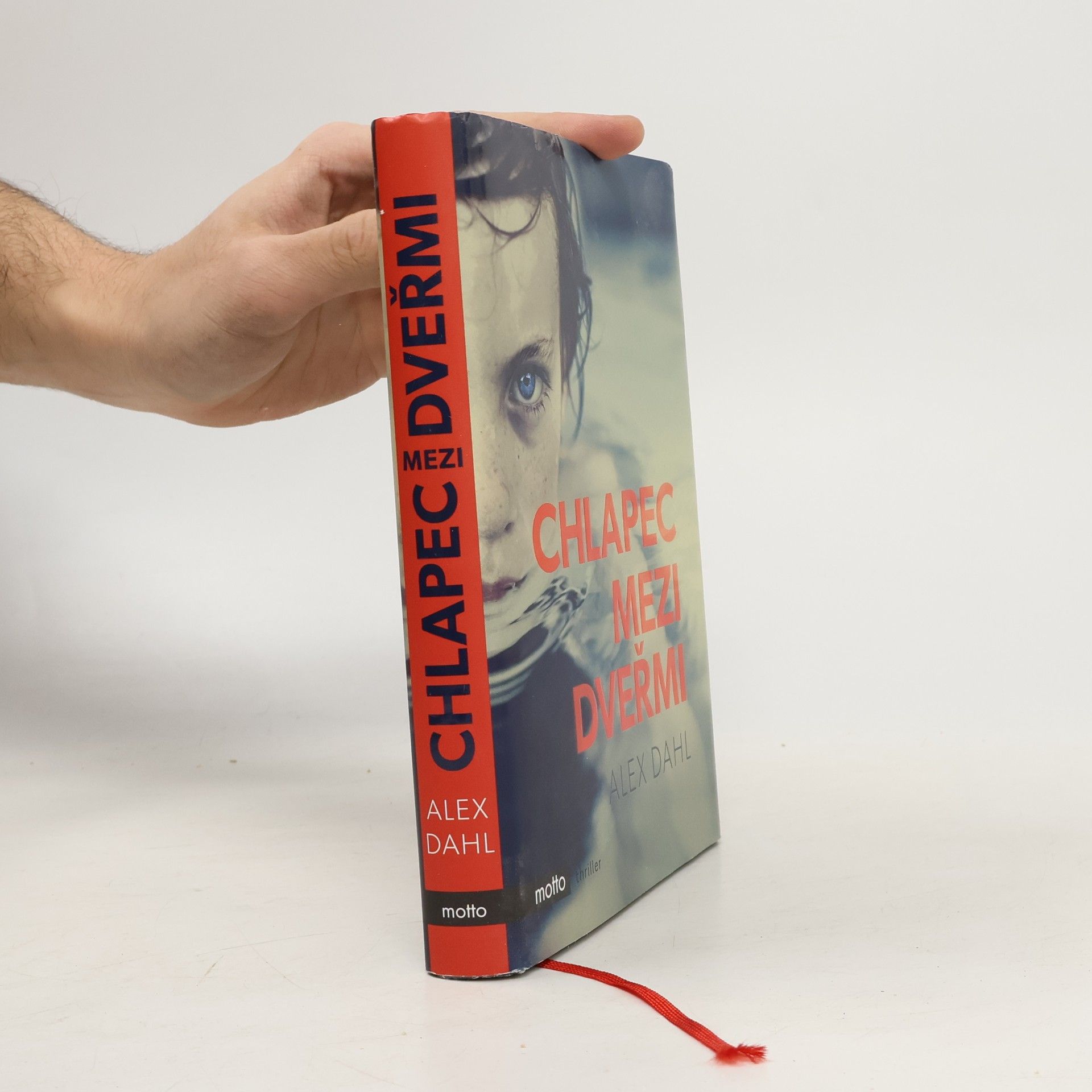 Alex Dahl Chlapec mezi dveřmi