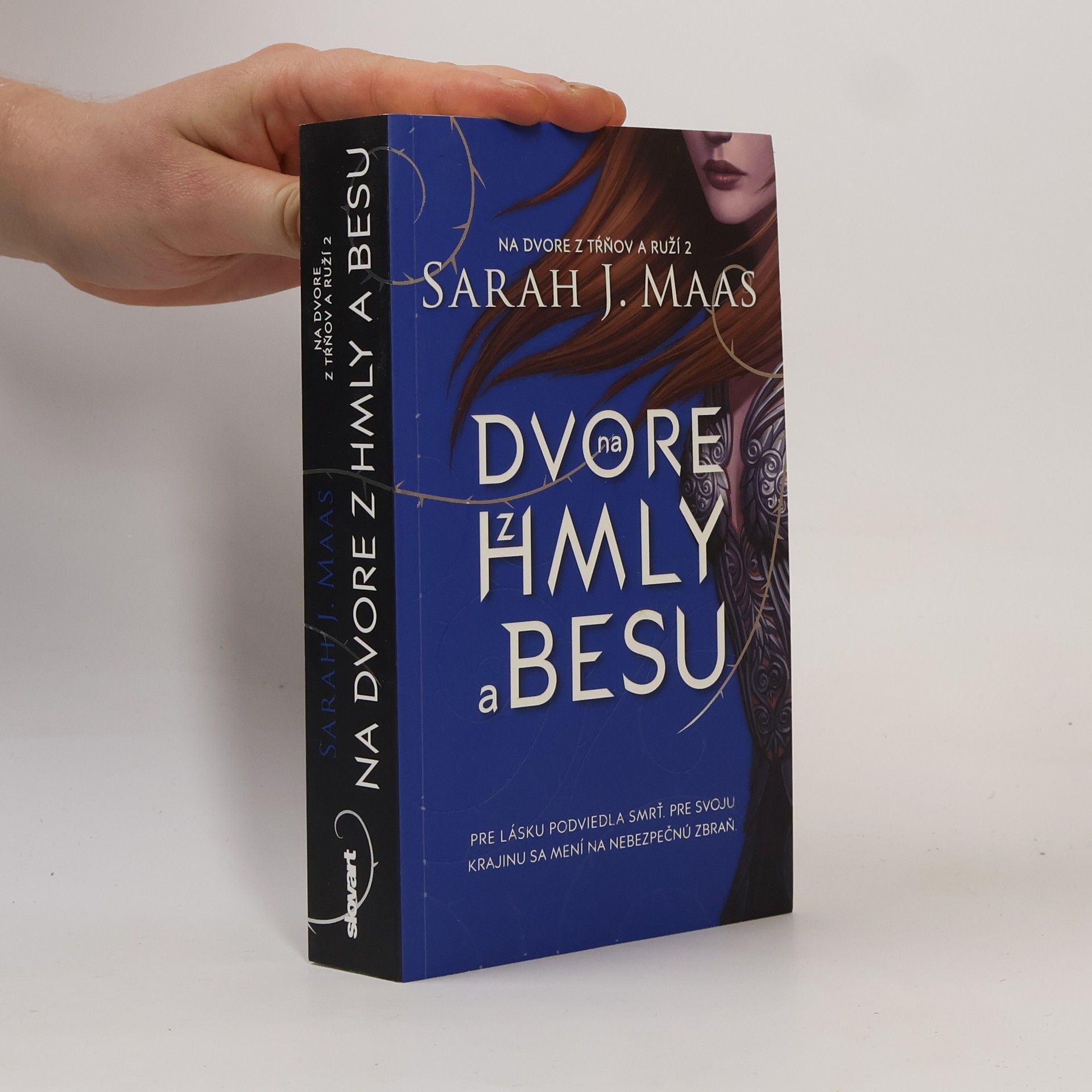 Sarah J. Maas Na dvore z hmly a besu