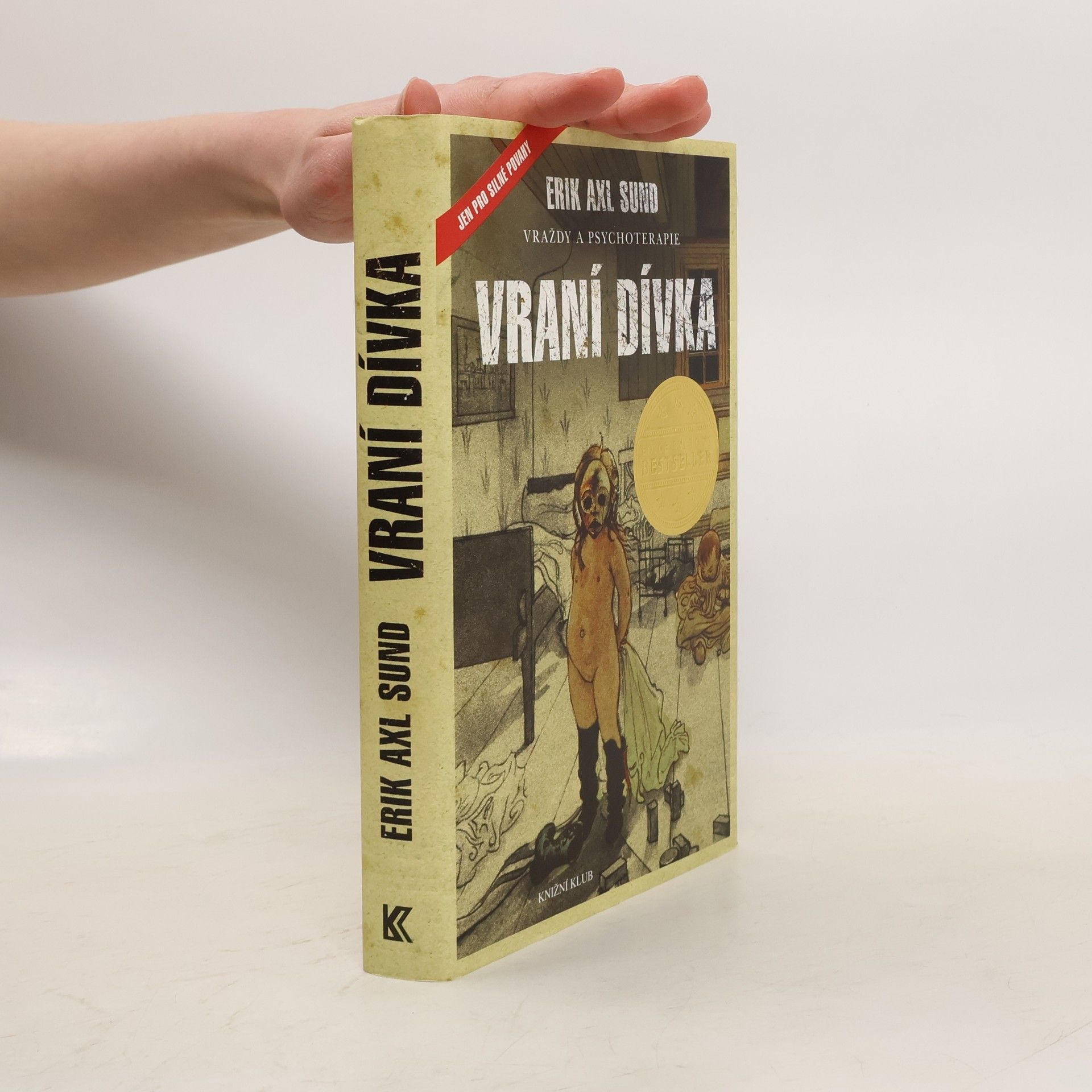 Erik Axl Sund Slabost Victorie Bergmanové. 1. díl. Vraní dívka