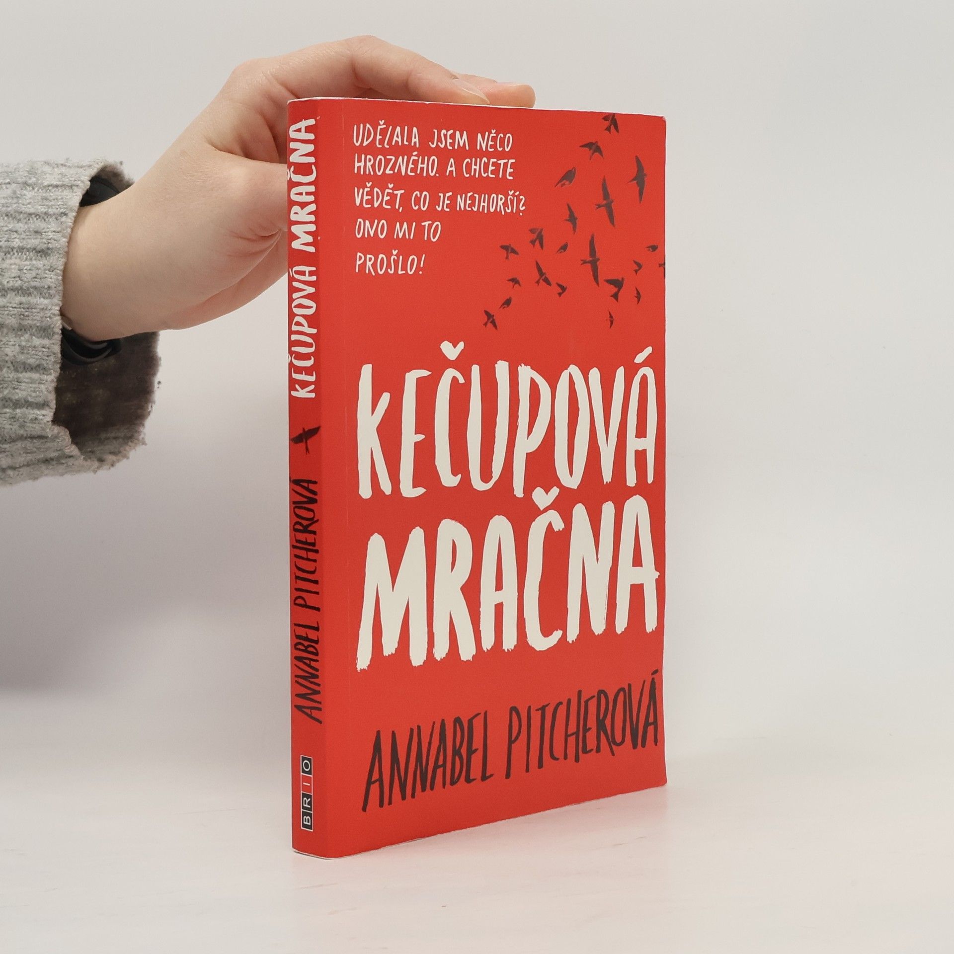 Annabel Pitcher Kečupová mračna