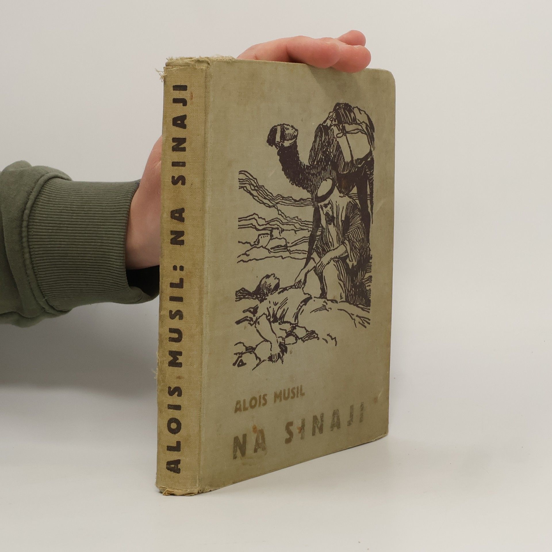 Alois Musil Na Sinaji