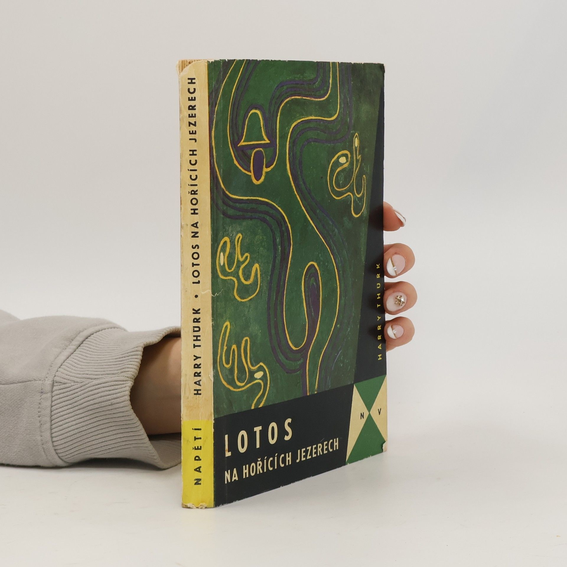 Harry Thürk Lotos na hořících jezerech