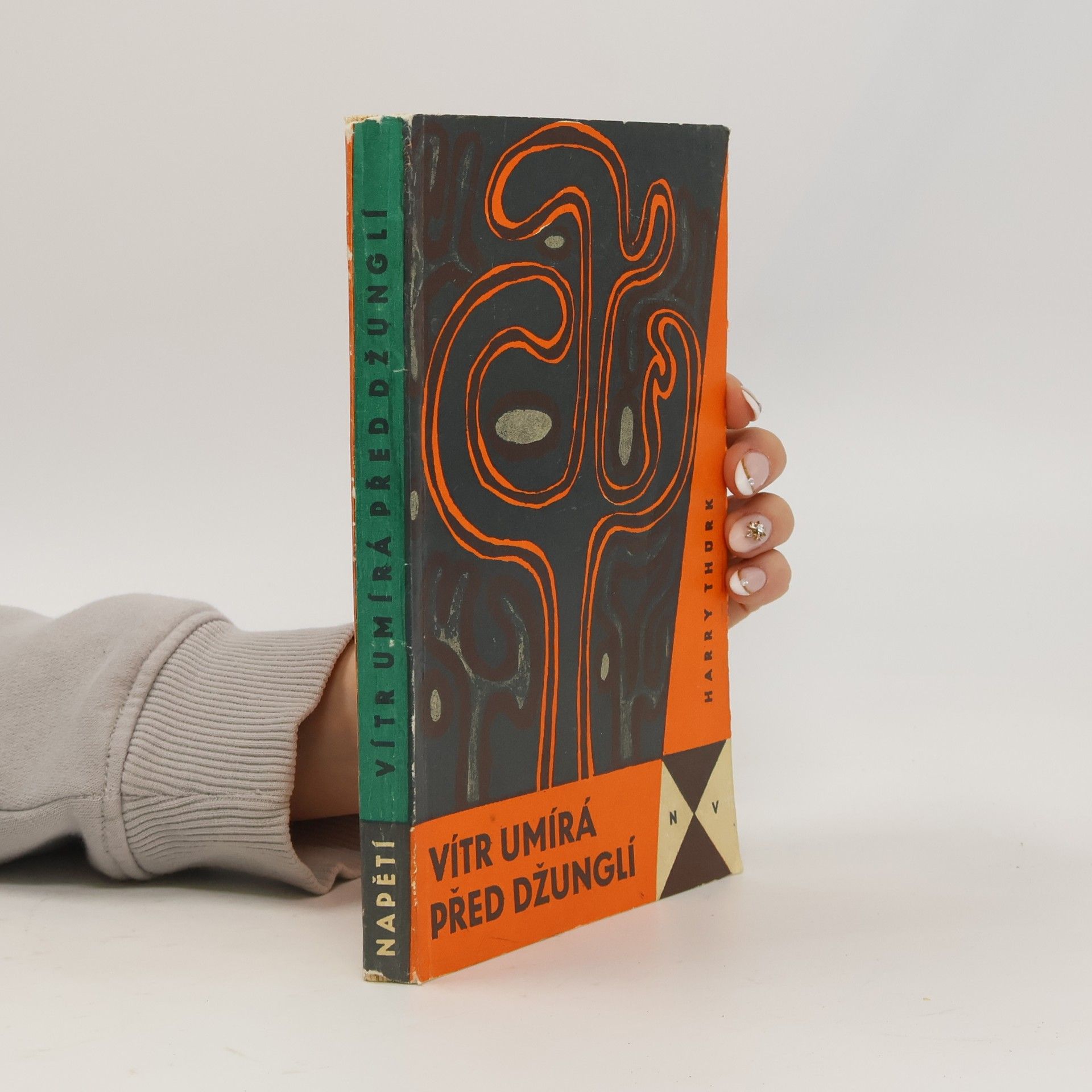 Harry Thürk Vítr umírá před džunglí