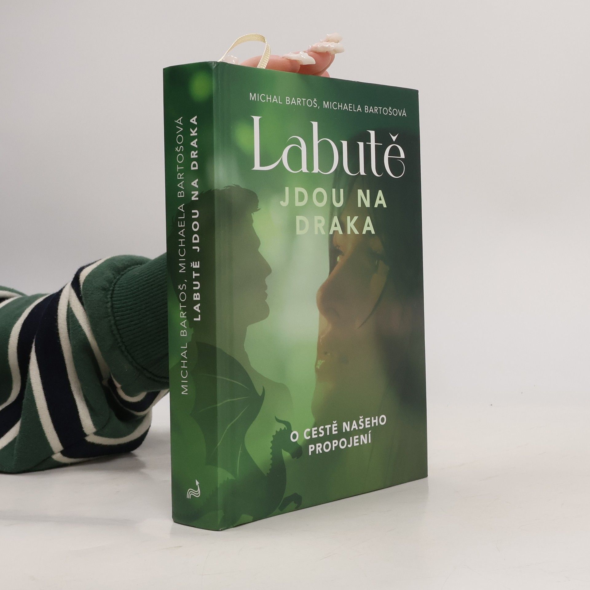 Labutě jdou na draka