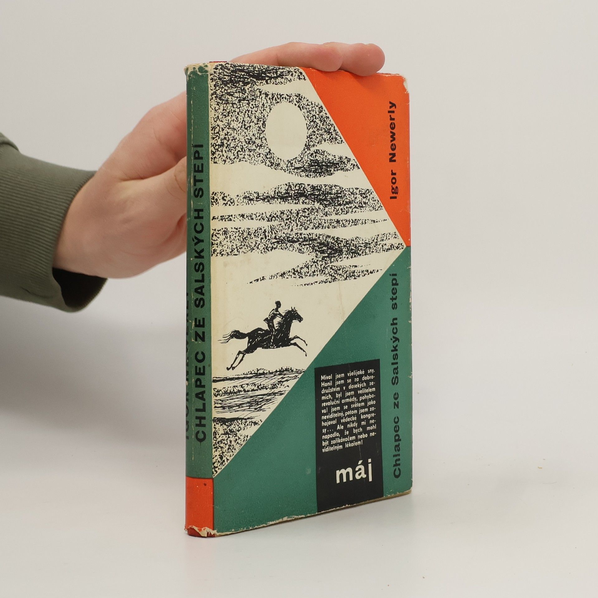 Chlapec ze Salských stepí