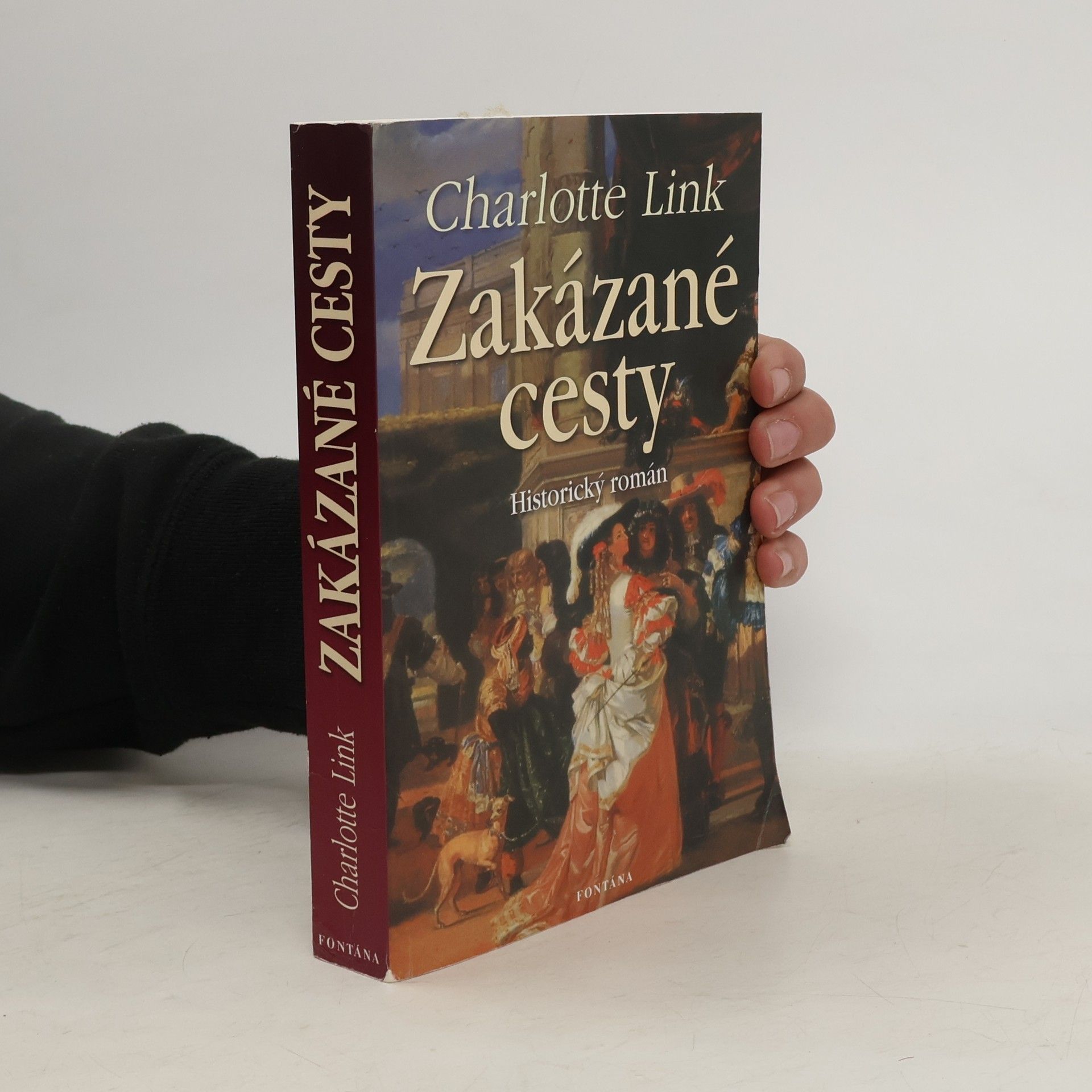 Charlotte Link Zakázané cesty