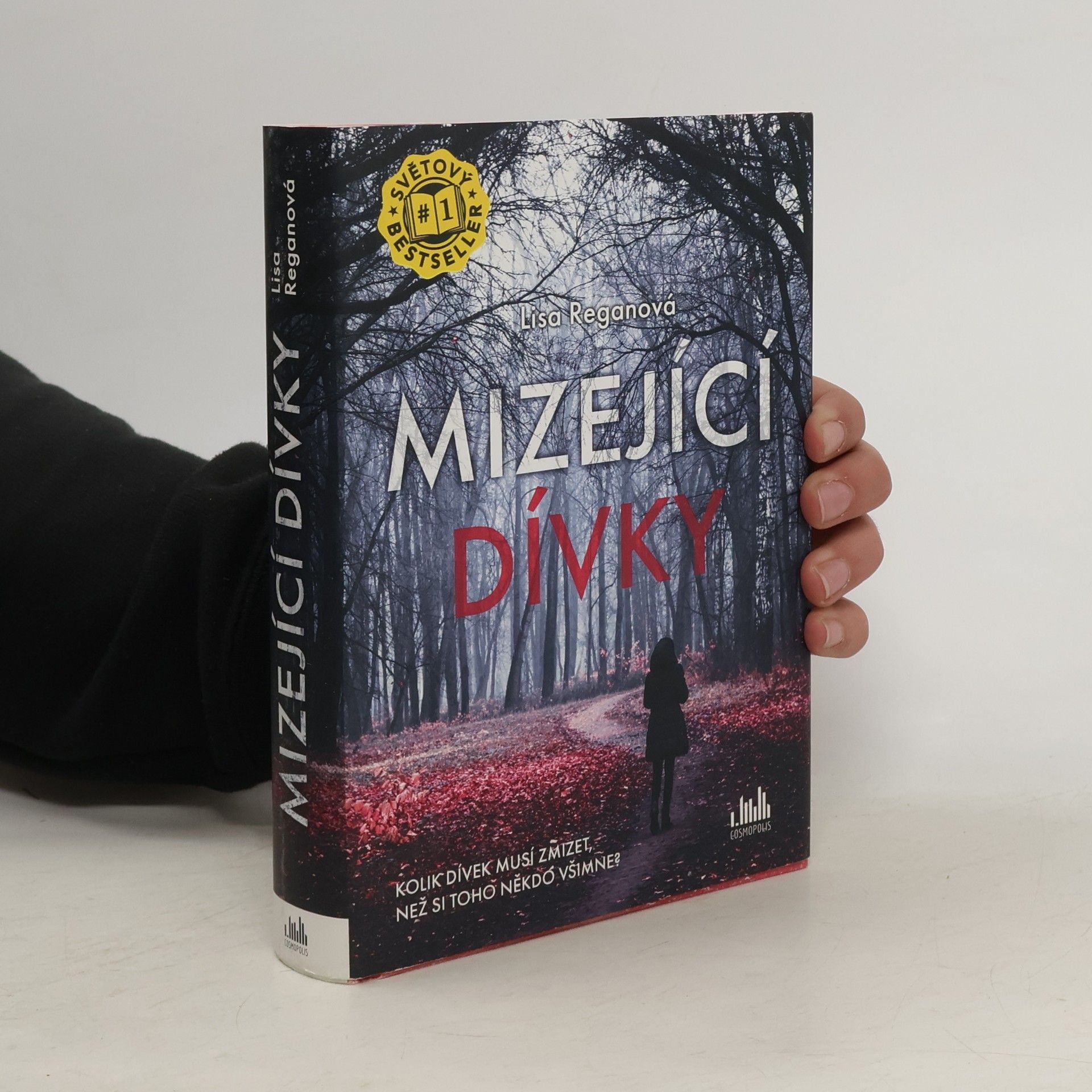 Lisa Regan Mizející dívky