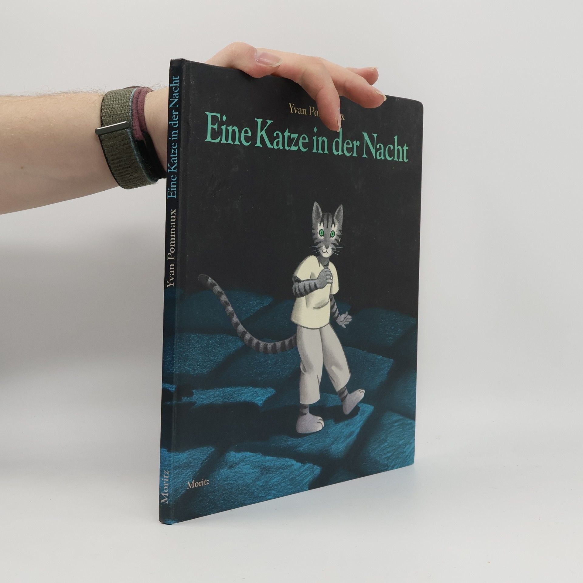 Eine Katze in der Nacht