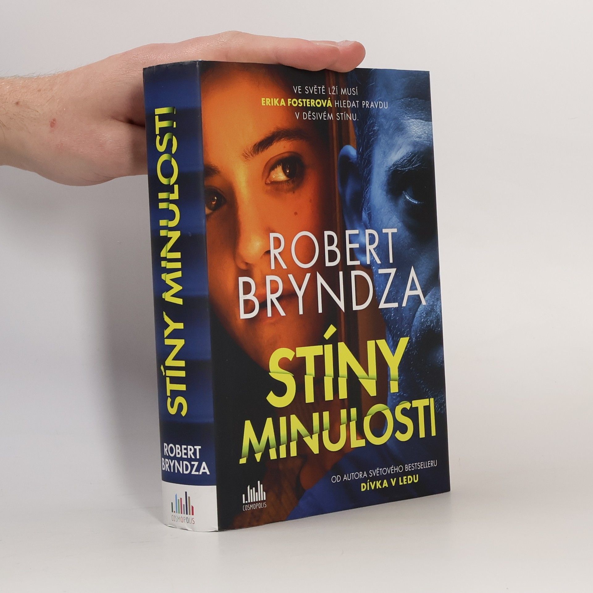Robert Bryndza Stíny minulosti
