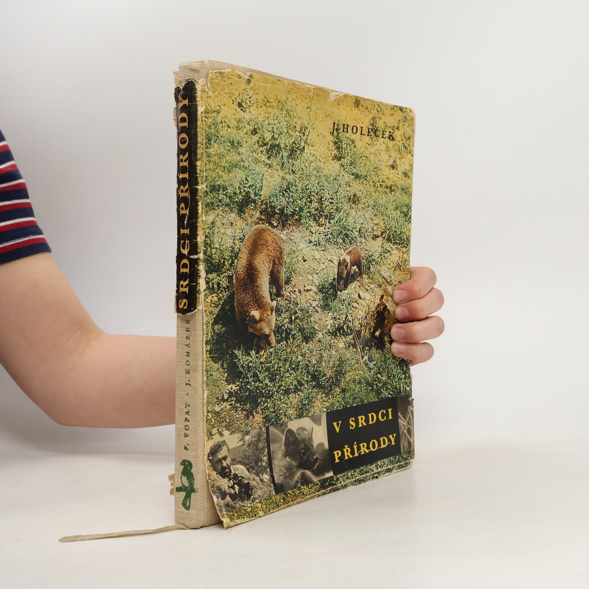 Jaroslav Holeček V srdci přírody