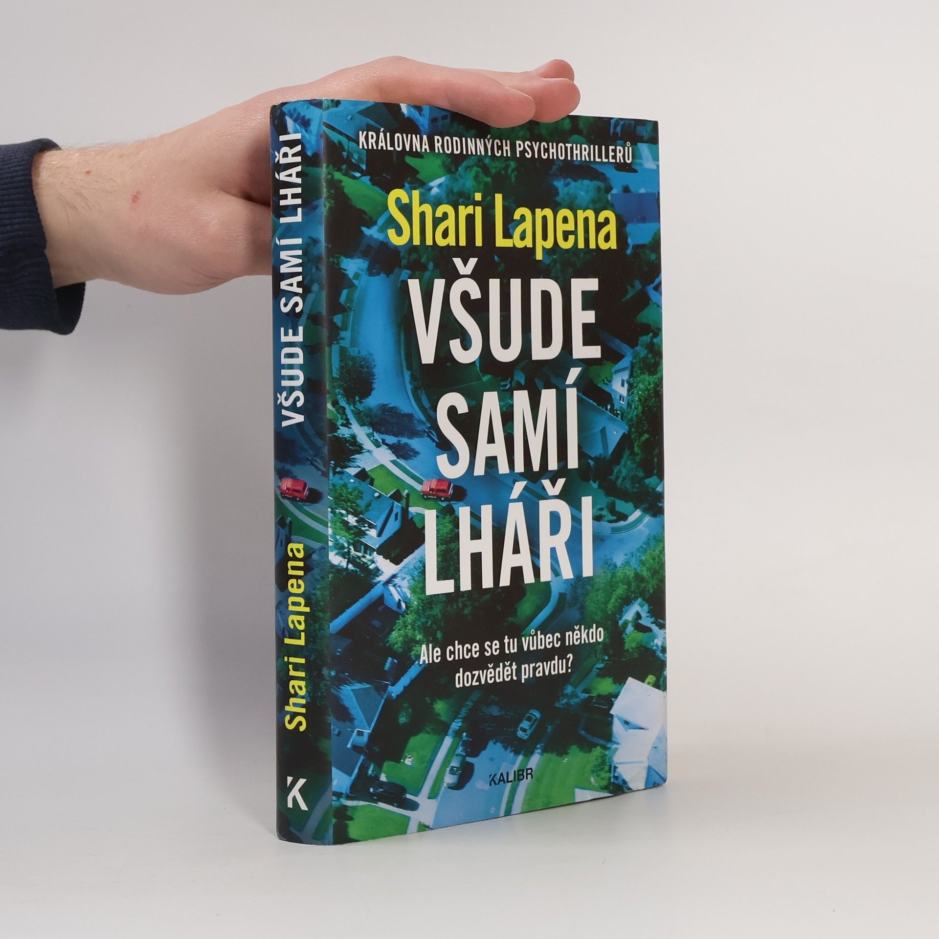 Shari Lapena Všude samí lháři