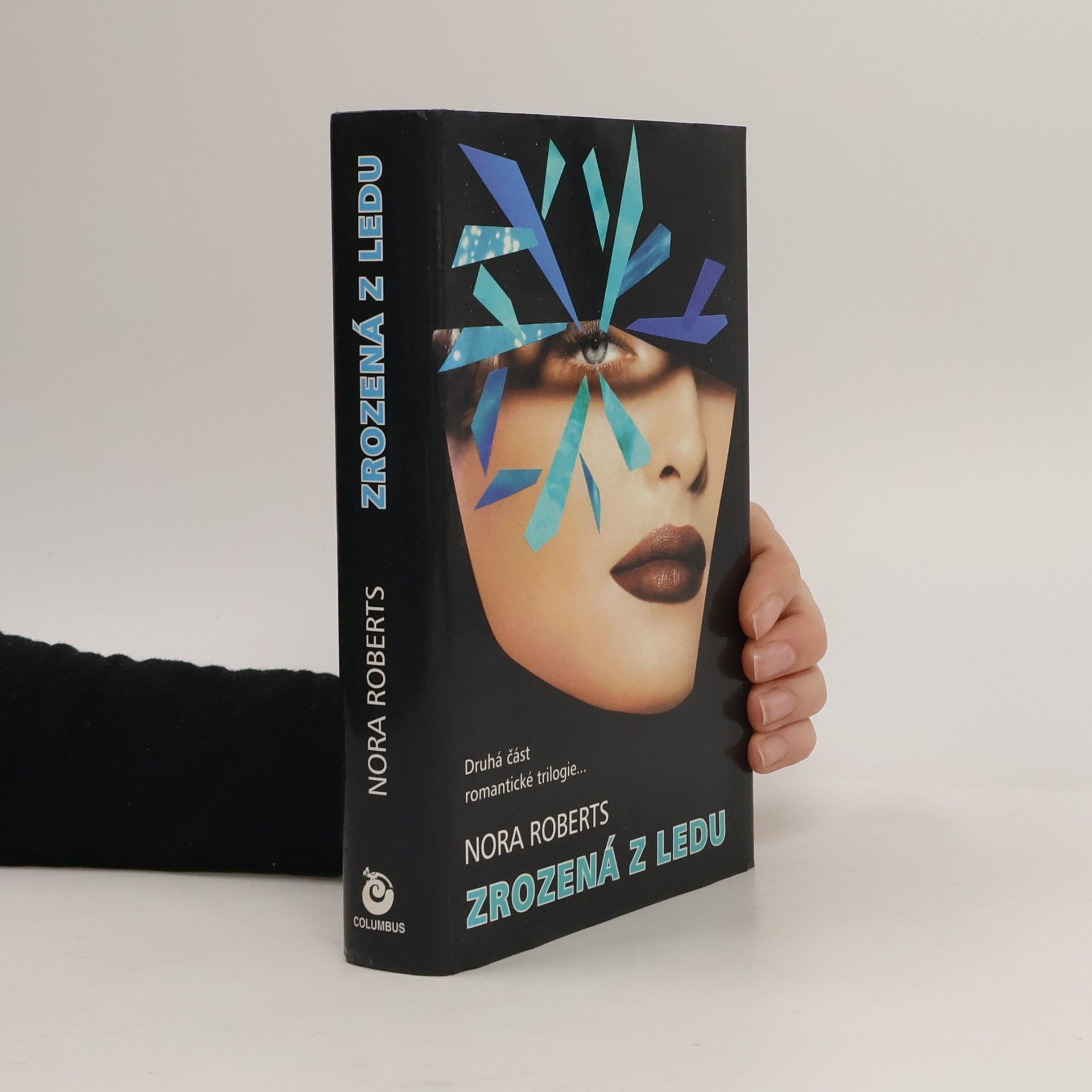 Nora Roberts Zrozená z ledu