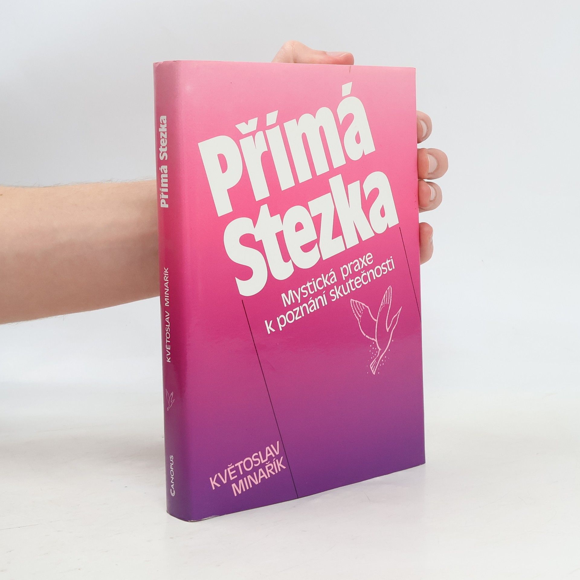 Kvetoslav Minarik Přímá stezka