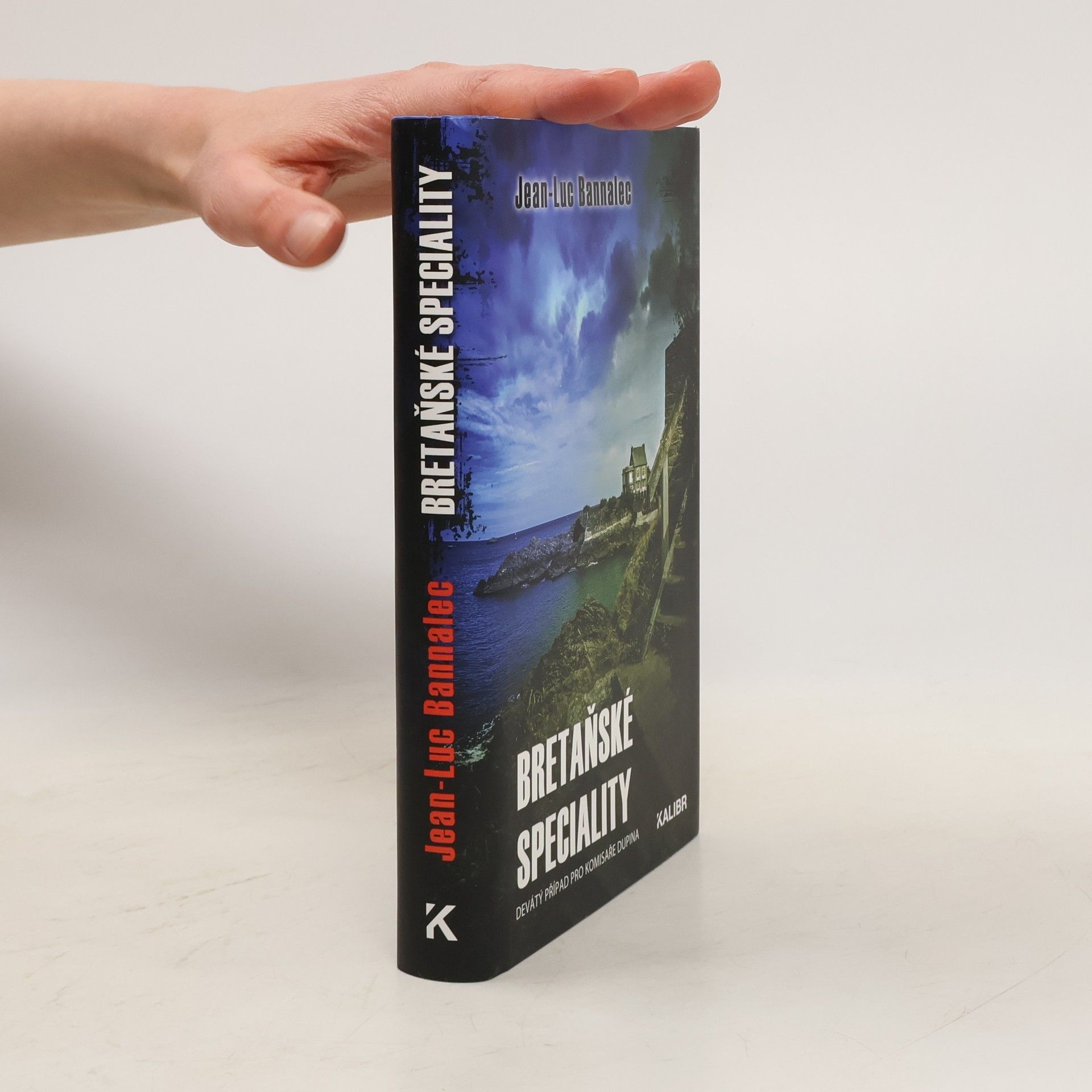 Jörg Bong Bretaňské speciality : devátý případ pro komisaře Dupina