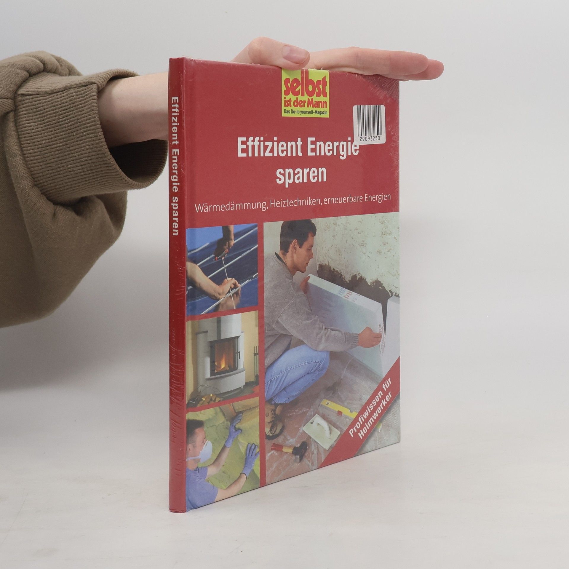 Kolektív autorov Effizient Energie sparen