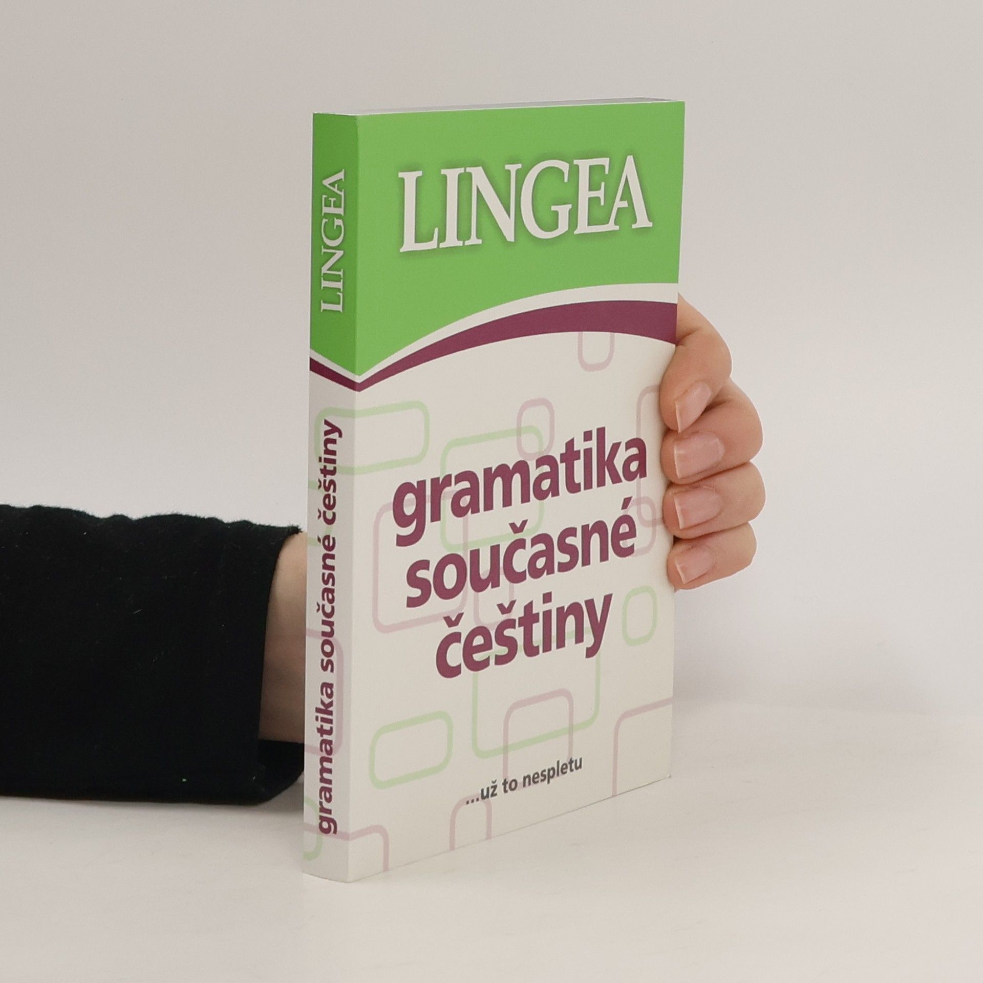 Collectif d'auteurs Gramatika současné češtiny