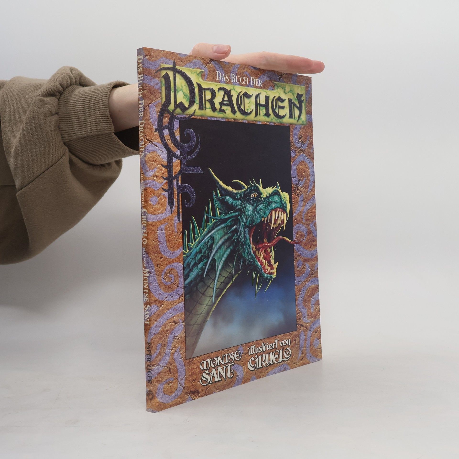 Montserrat Iglesias Santos Das Buch der Drachen