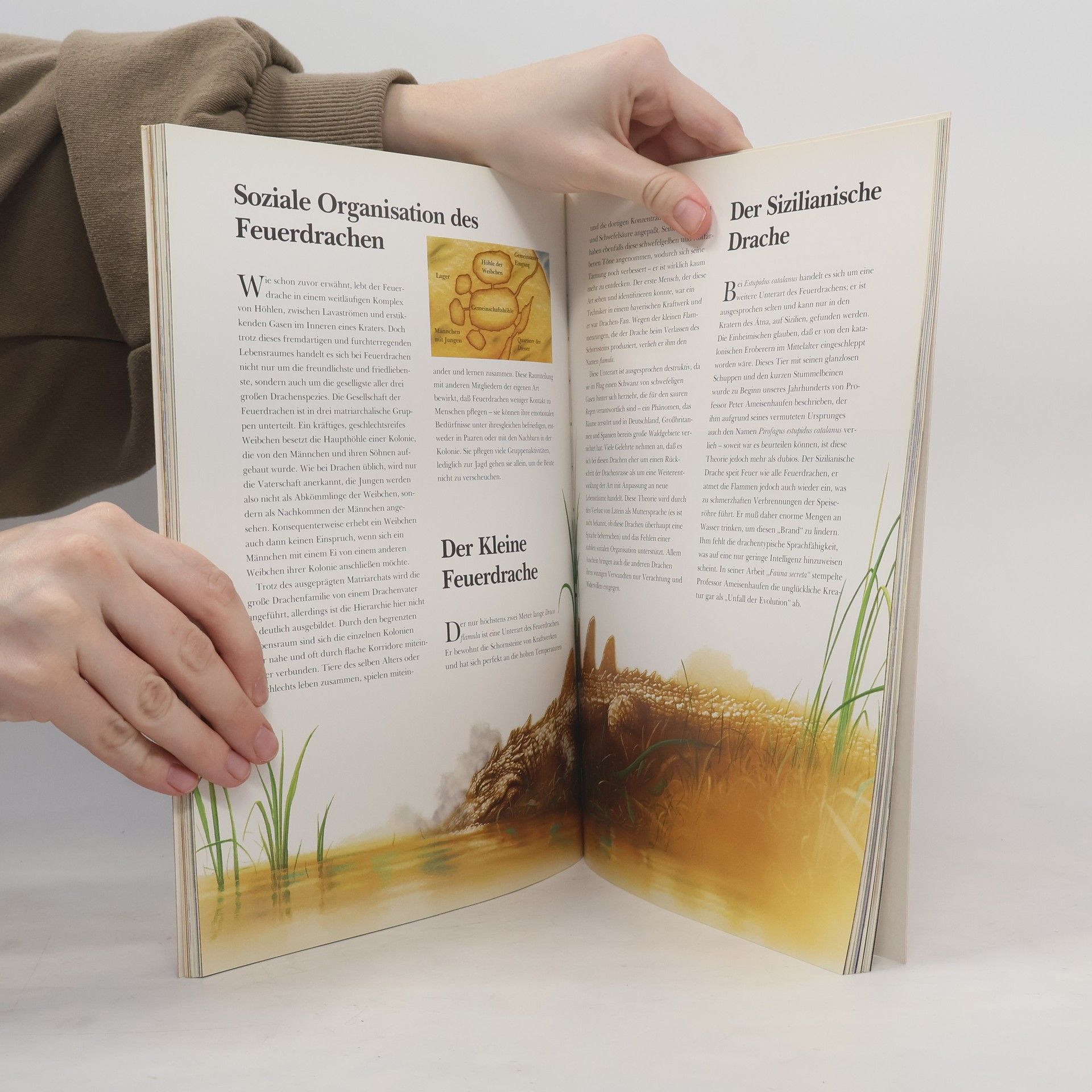 Montserrat Iglesias Santos Das Buch der Drachen
