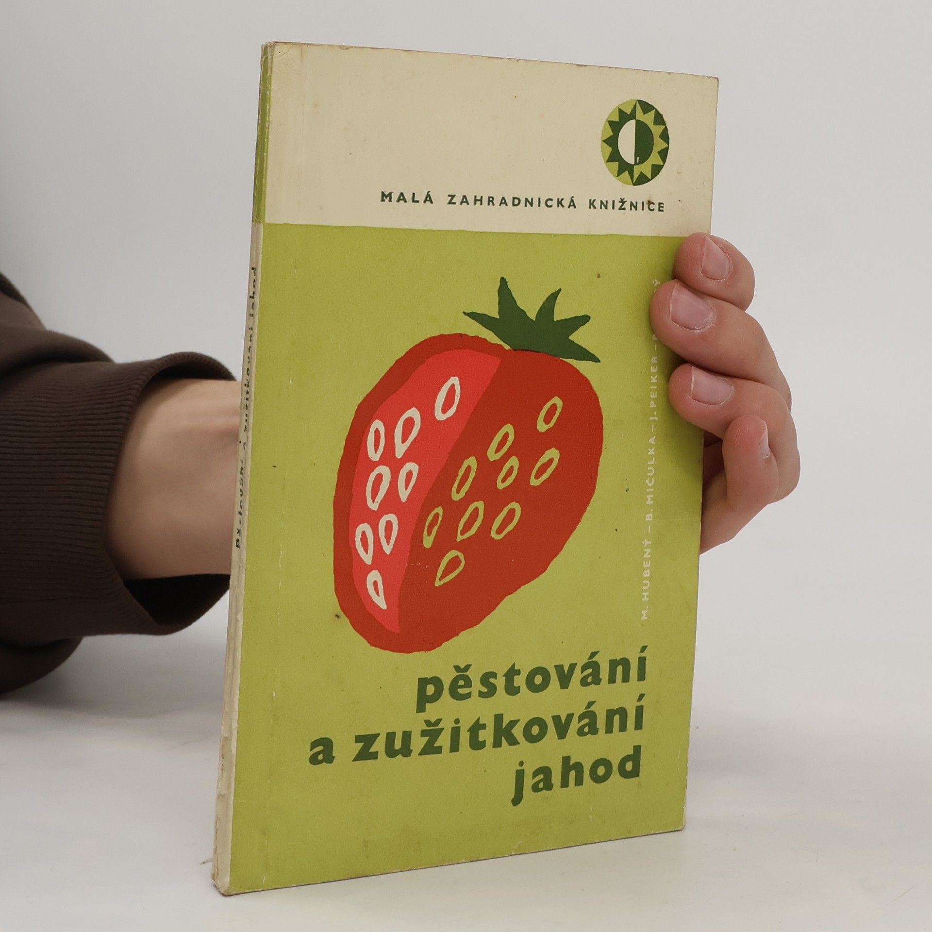 Auteurscollectief Pěstování a zužitkování jahod