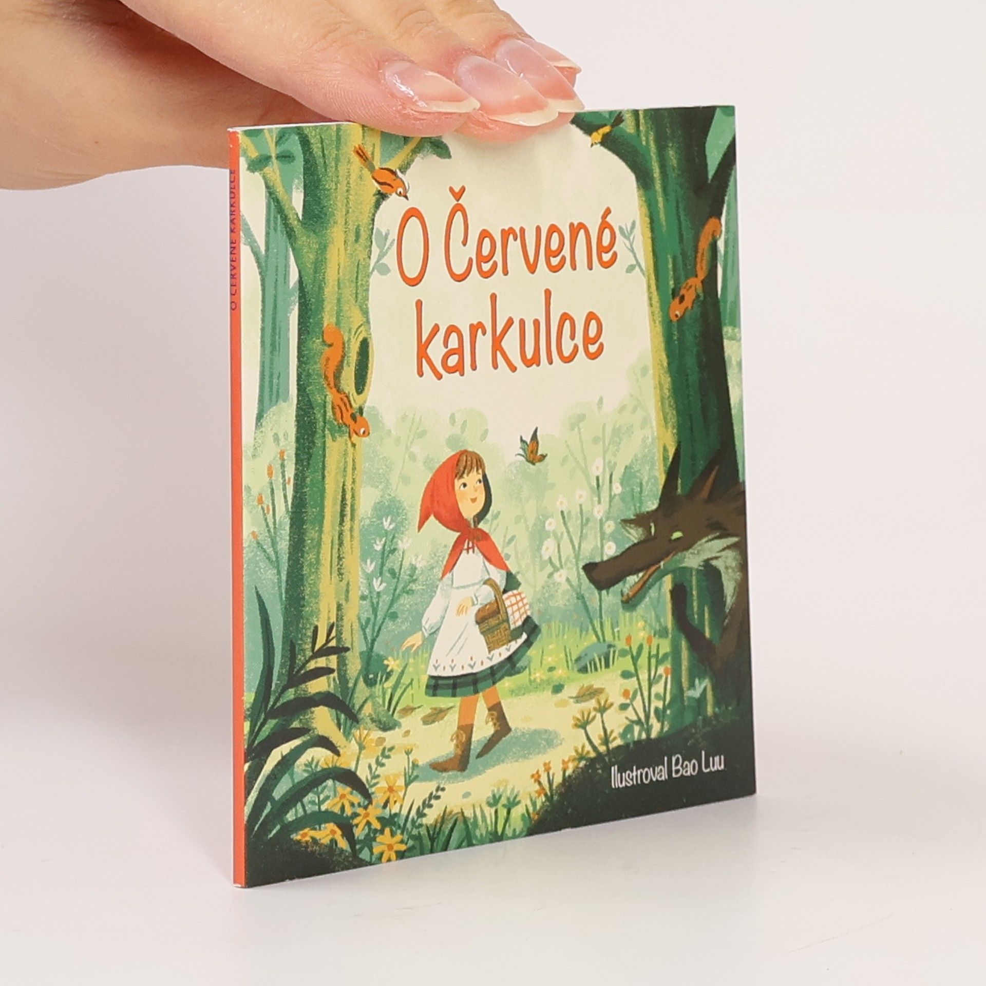 Autores varios O Červené karkulce