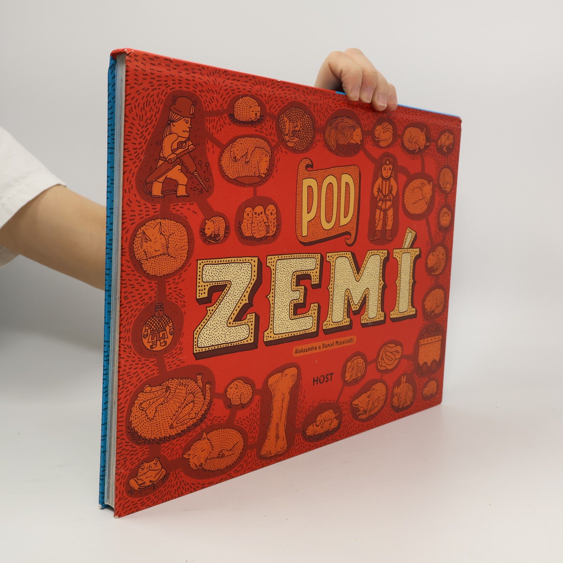 Aleksandra Mizielinska Pod zemí. Pod vodou