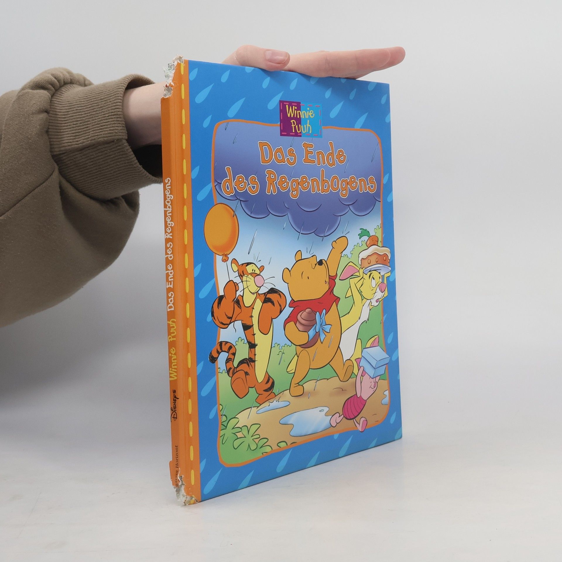 Autorenkollektiv Das Ende des Regenbogens