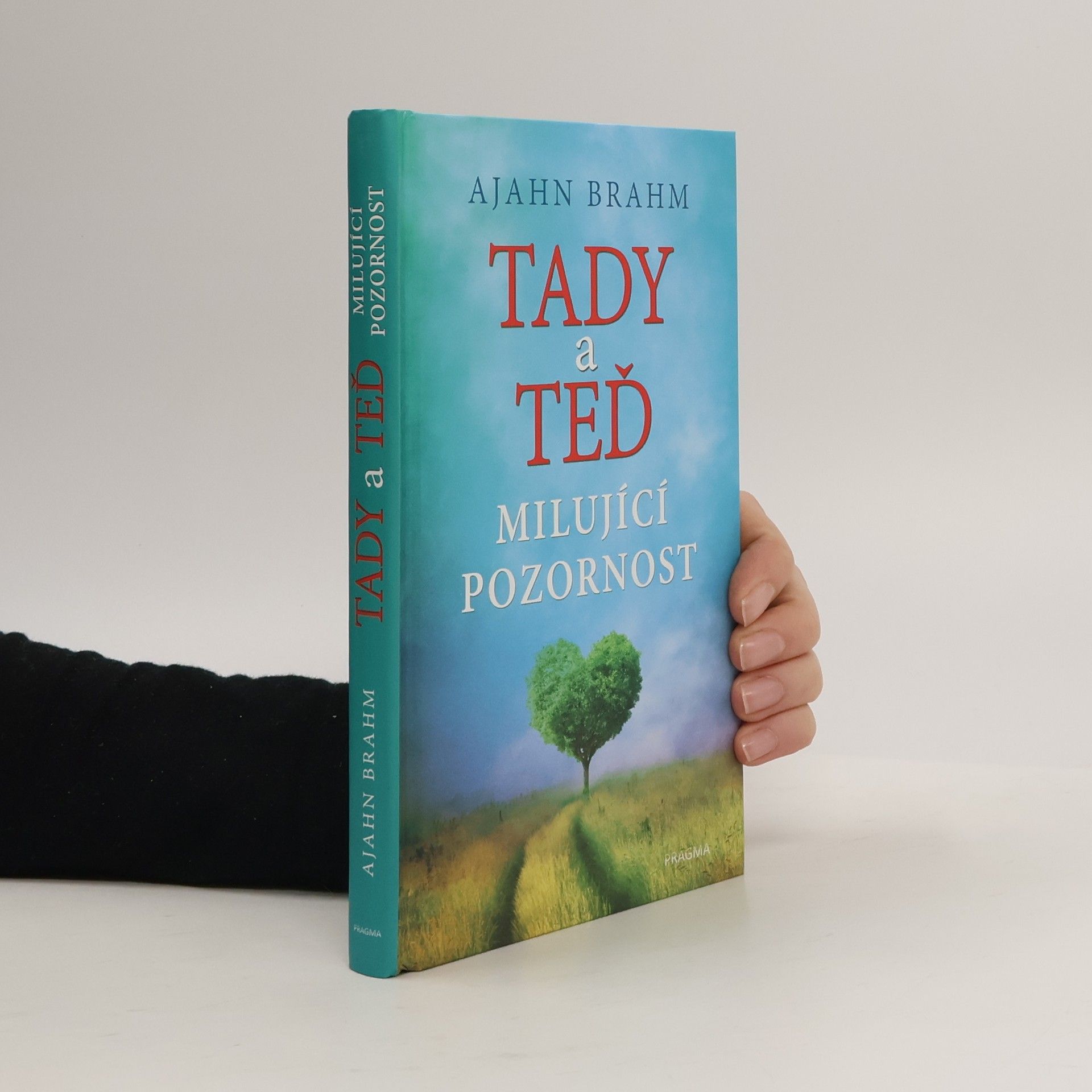 Karla Korteová Tady a teď. Milující pozornost