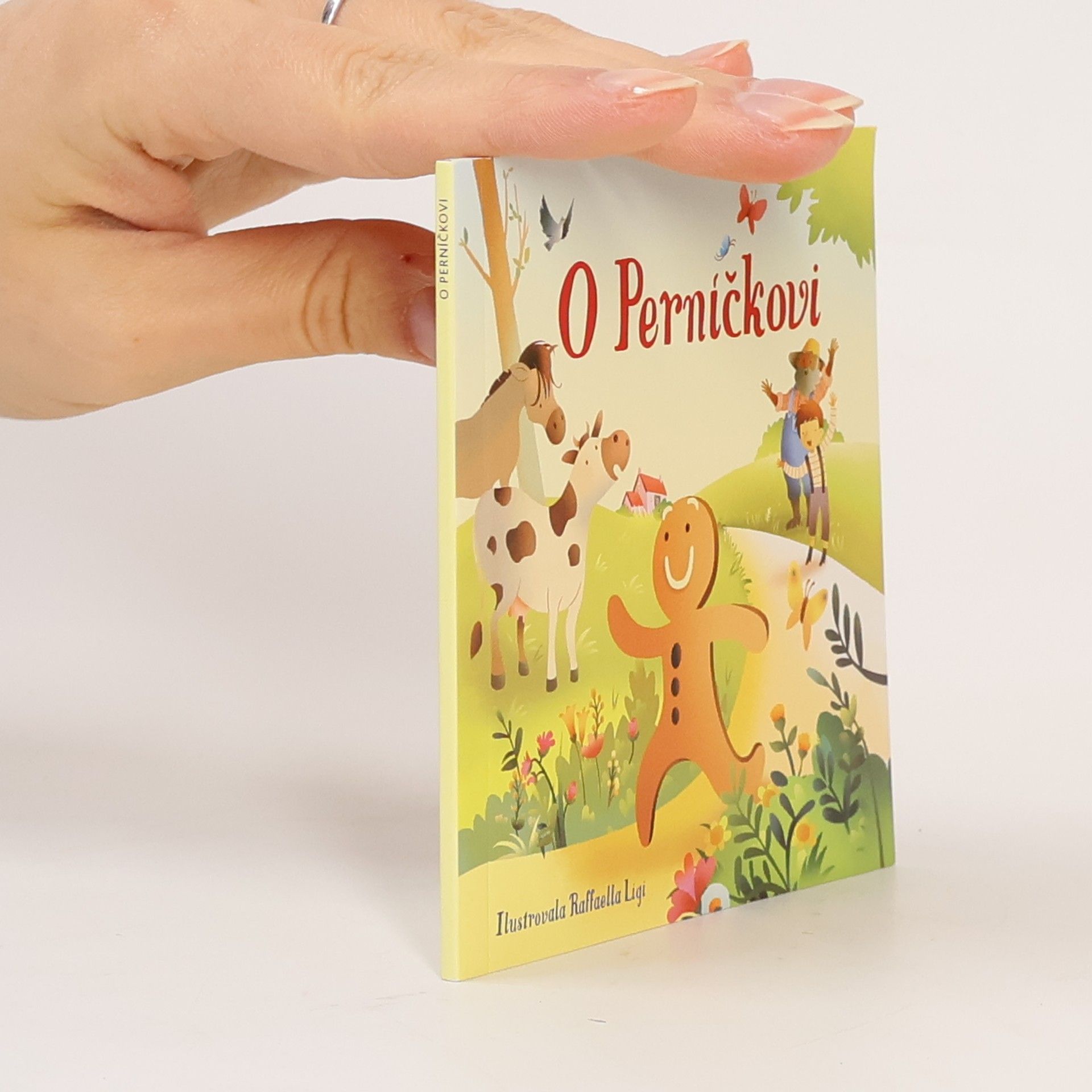 Raffaella Ligi O Perníčkovi