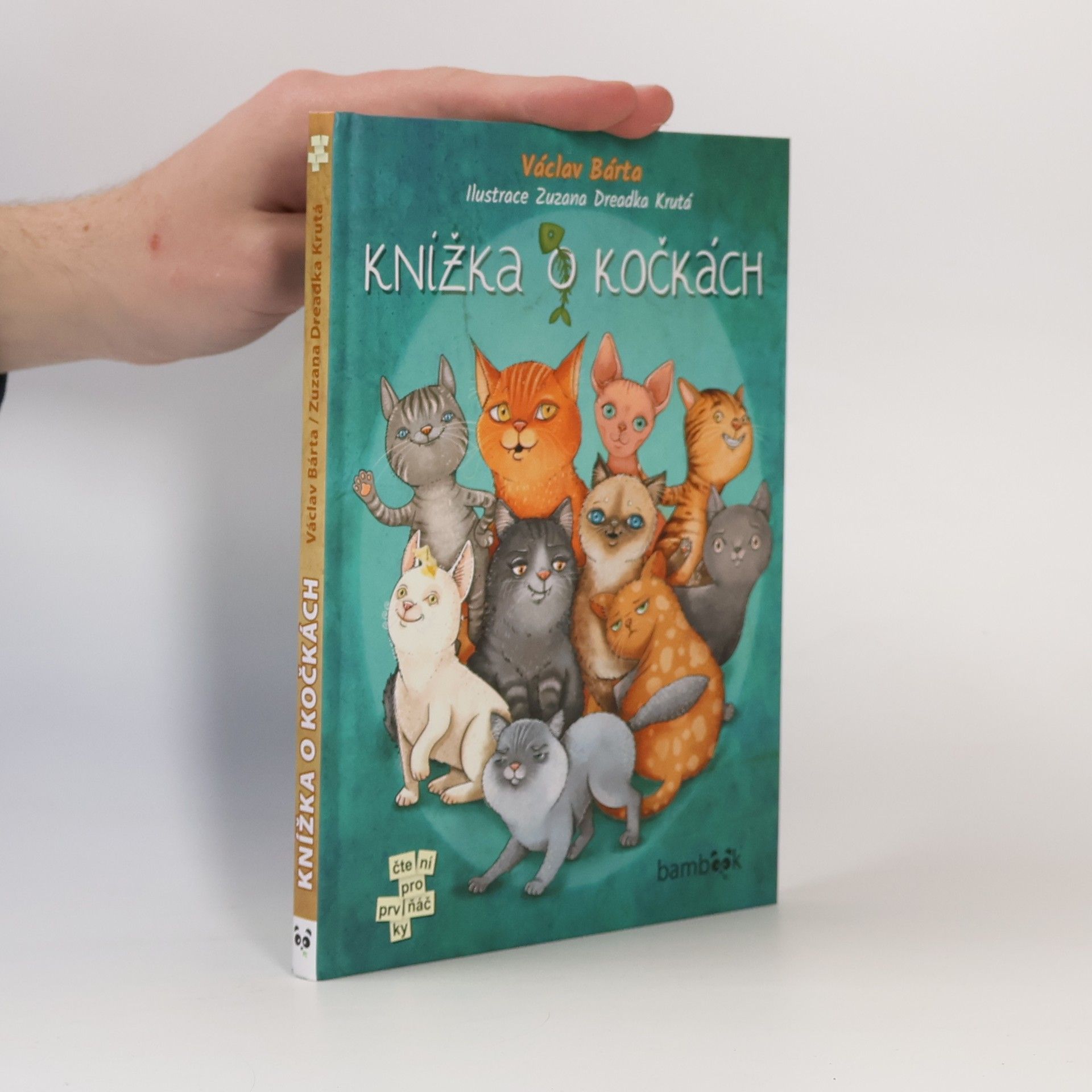 Knížka o kočkách