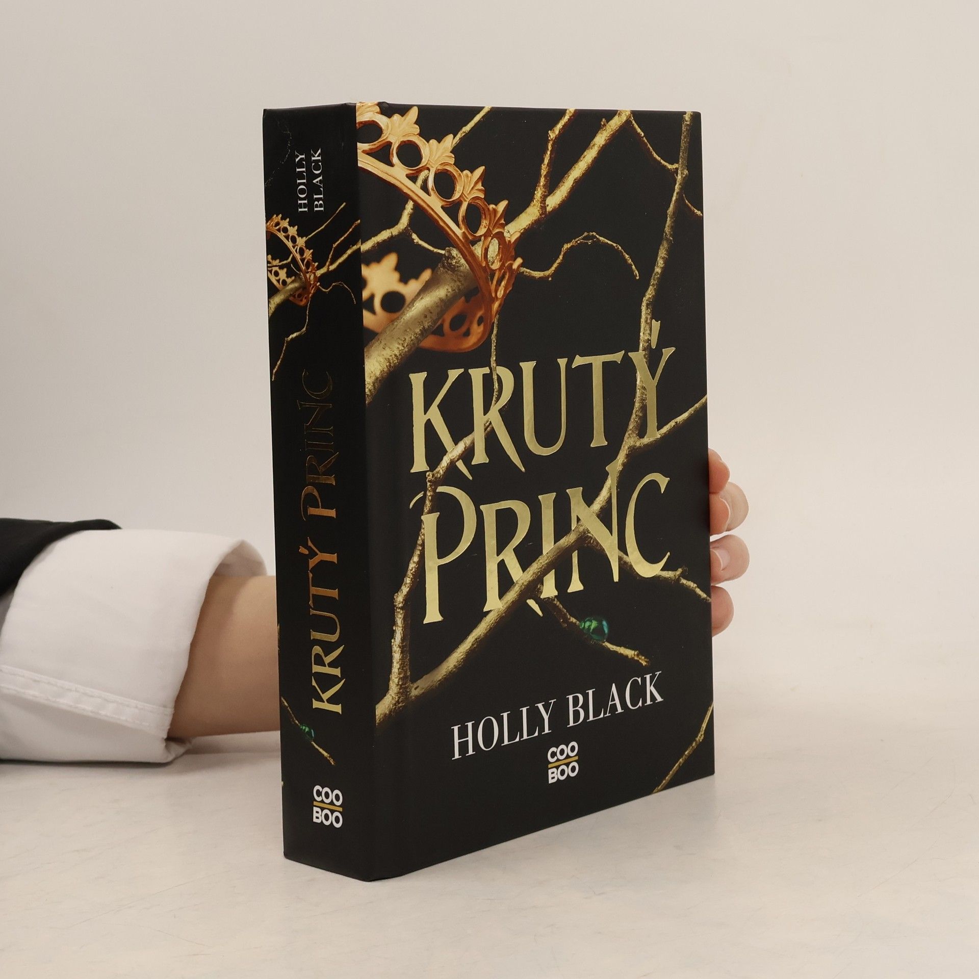 Holly Black Krutý princ