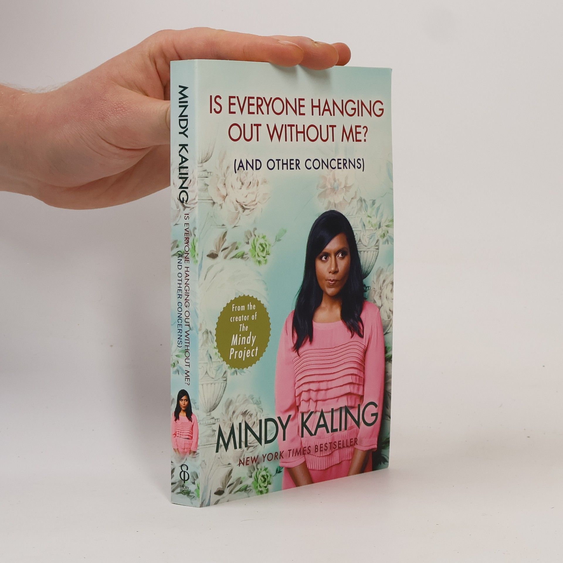 Mindy Kaling Is everyone hanging out without me?