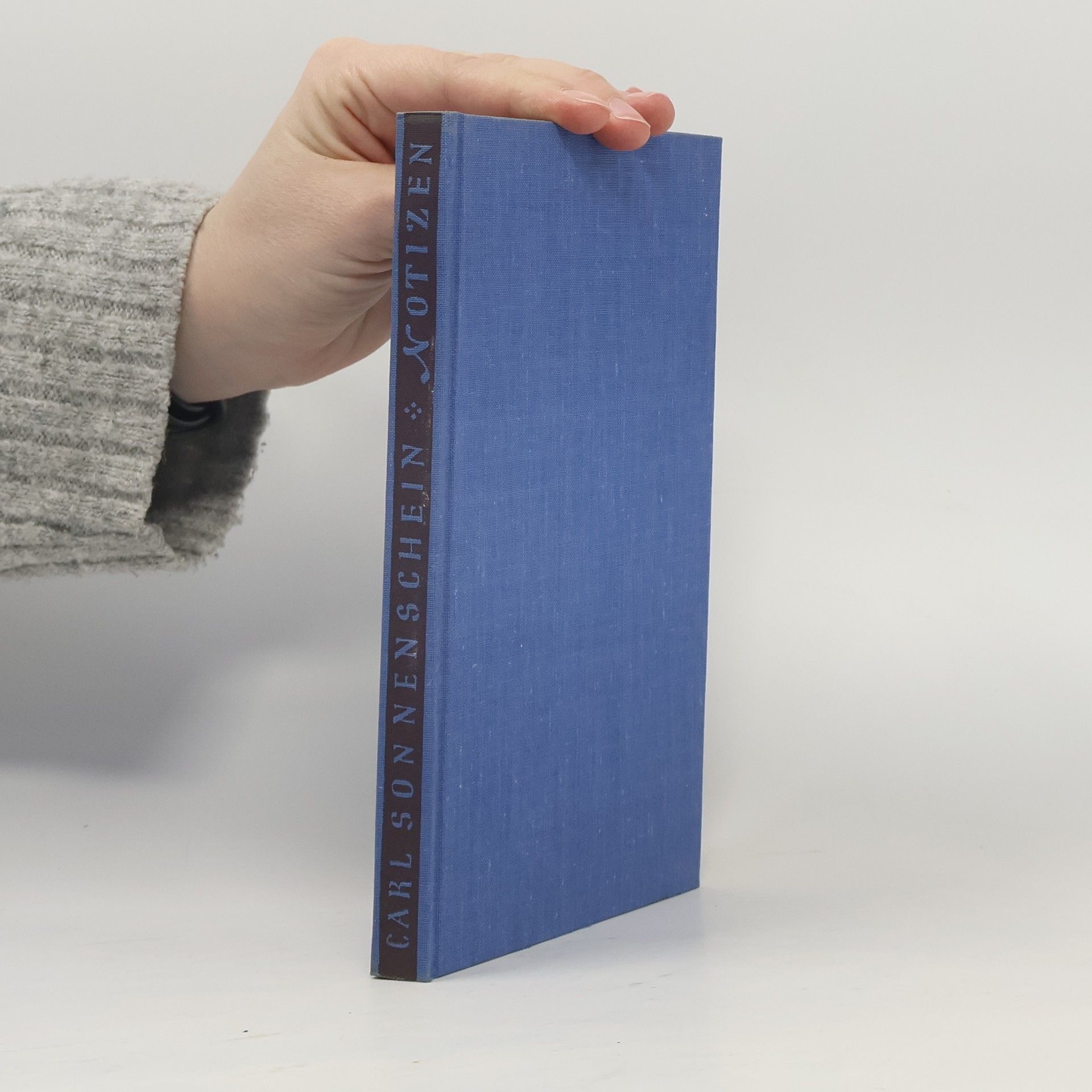 Carl Sonnenschein Notizen aus den Weltstadtbetrachtungen, II. Band