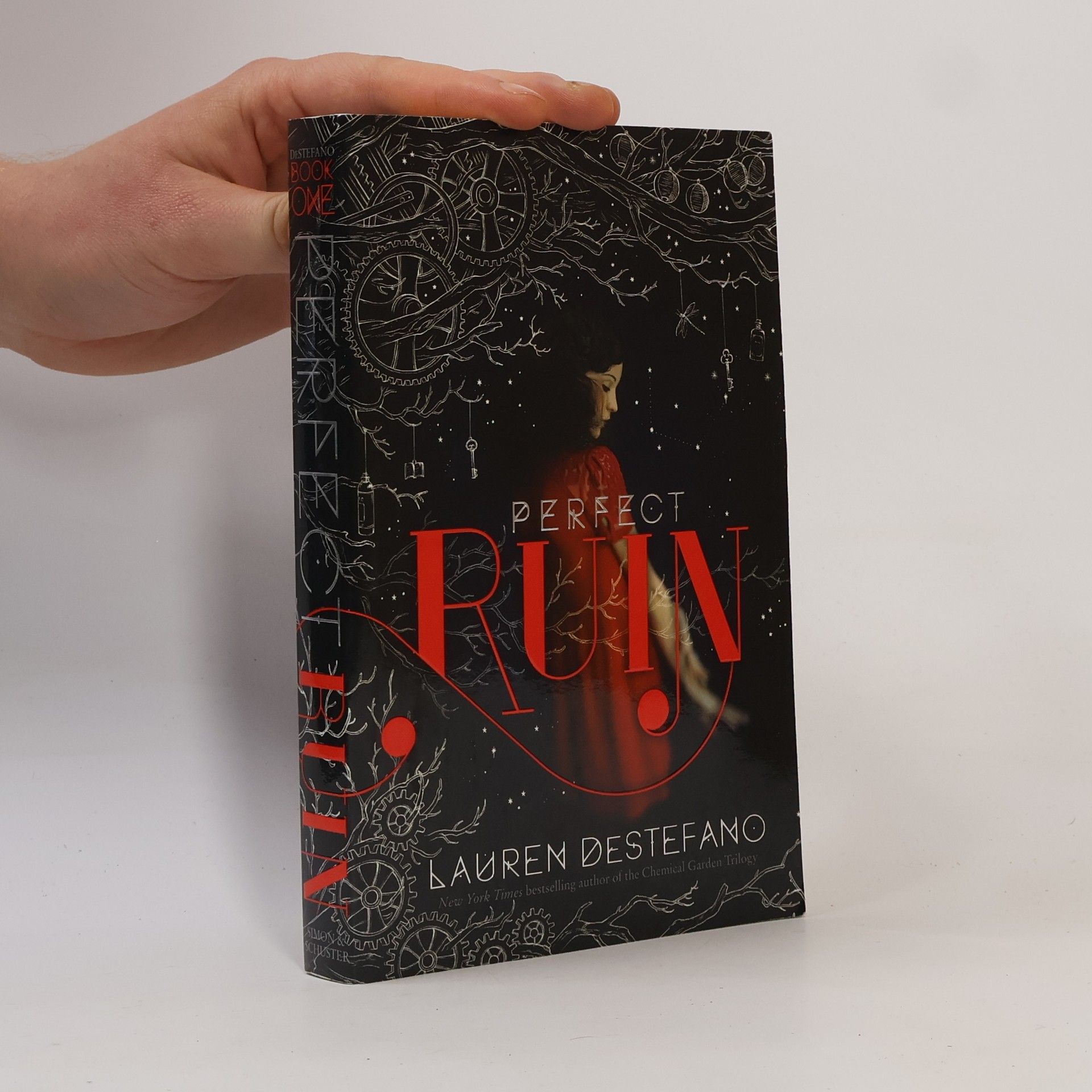 Lauren DeStefano The Internment Chronicles - 1: Perfect Ruin