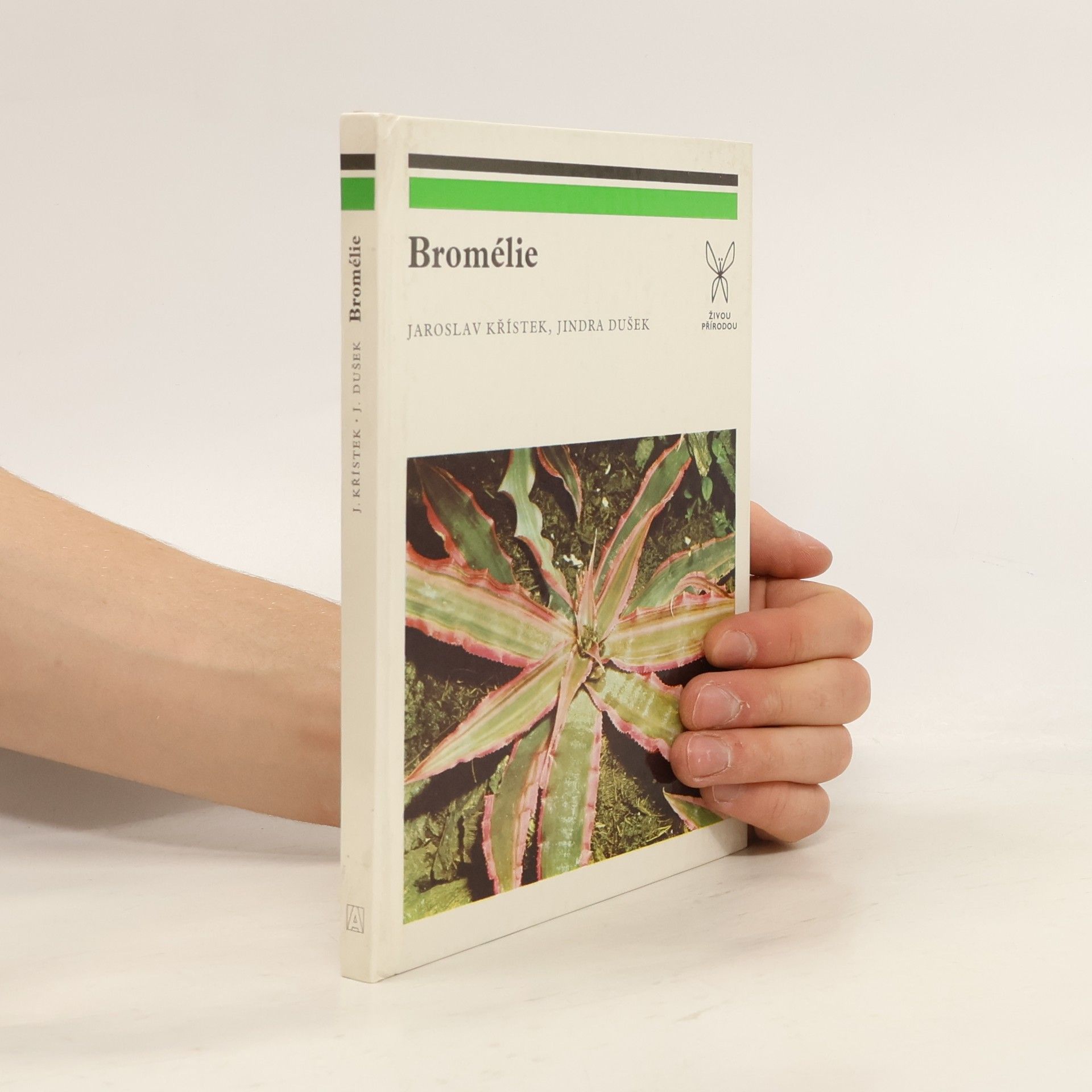 Jaroslav Křístek Bromélie