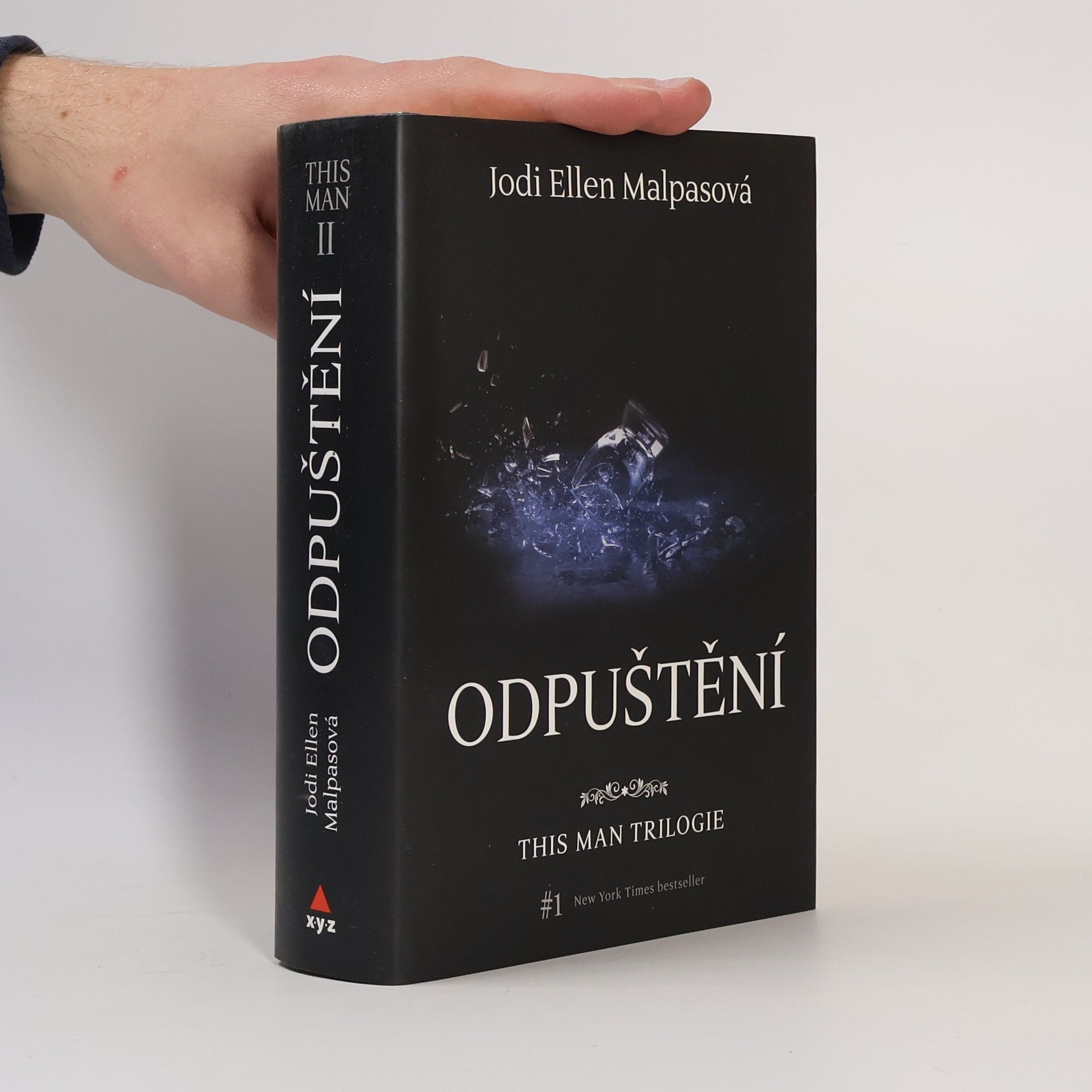 Jodi Ellen Malpas This man trilogie : Odpuštění