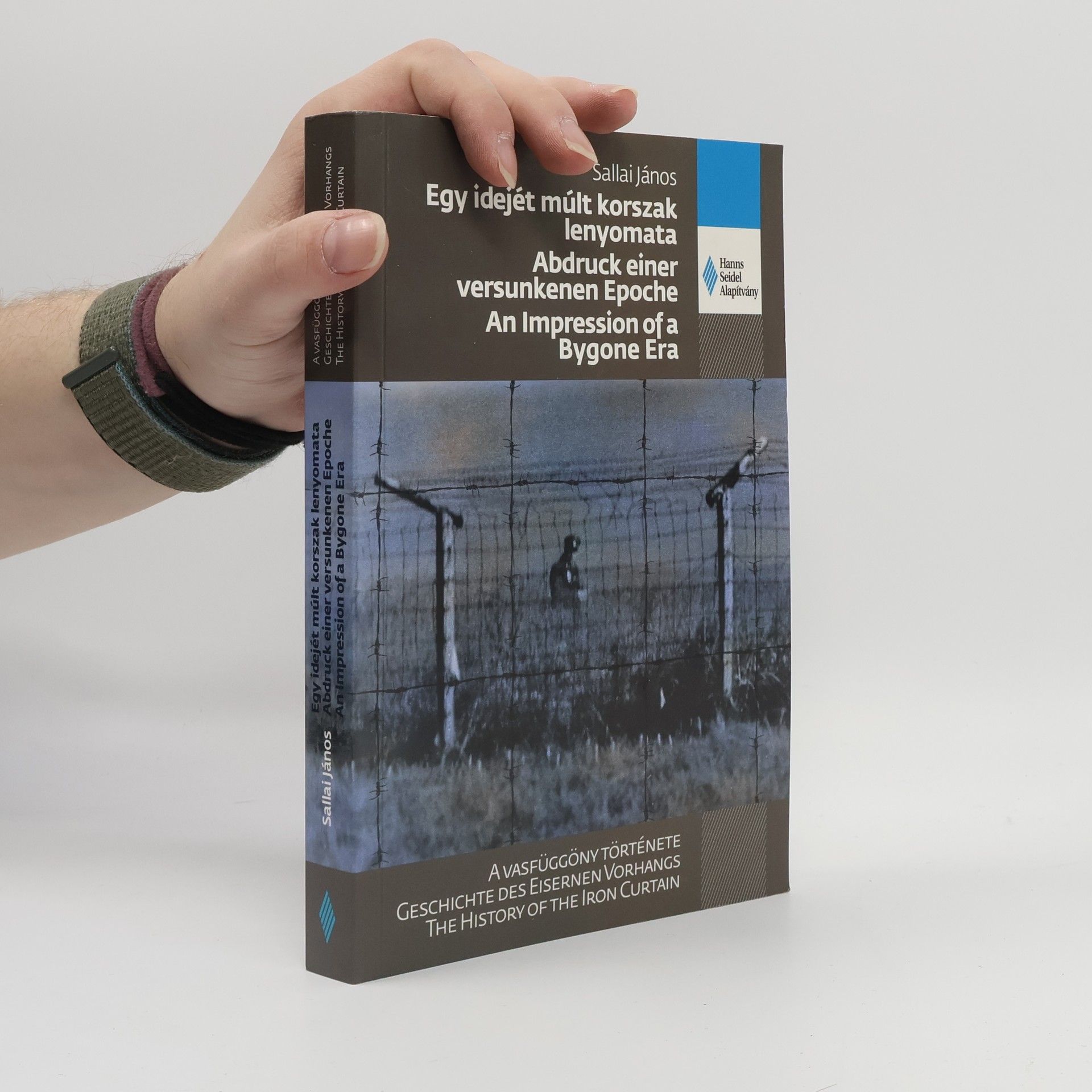János Sallai Egy idejét múlt korszak lenyomata. Abdruck einer versunkenen Epoche. An Impression of a Bygone Era