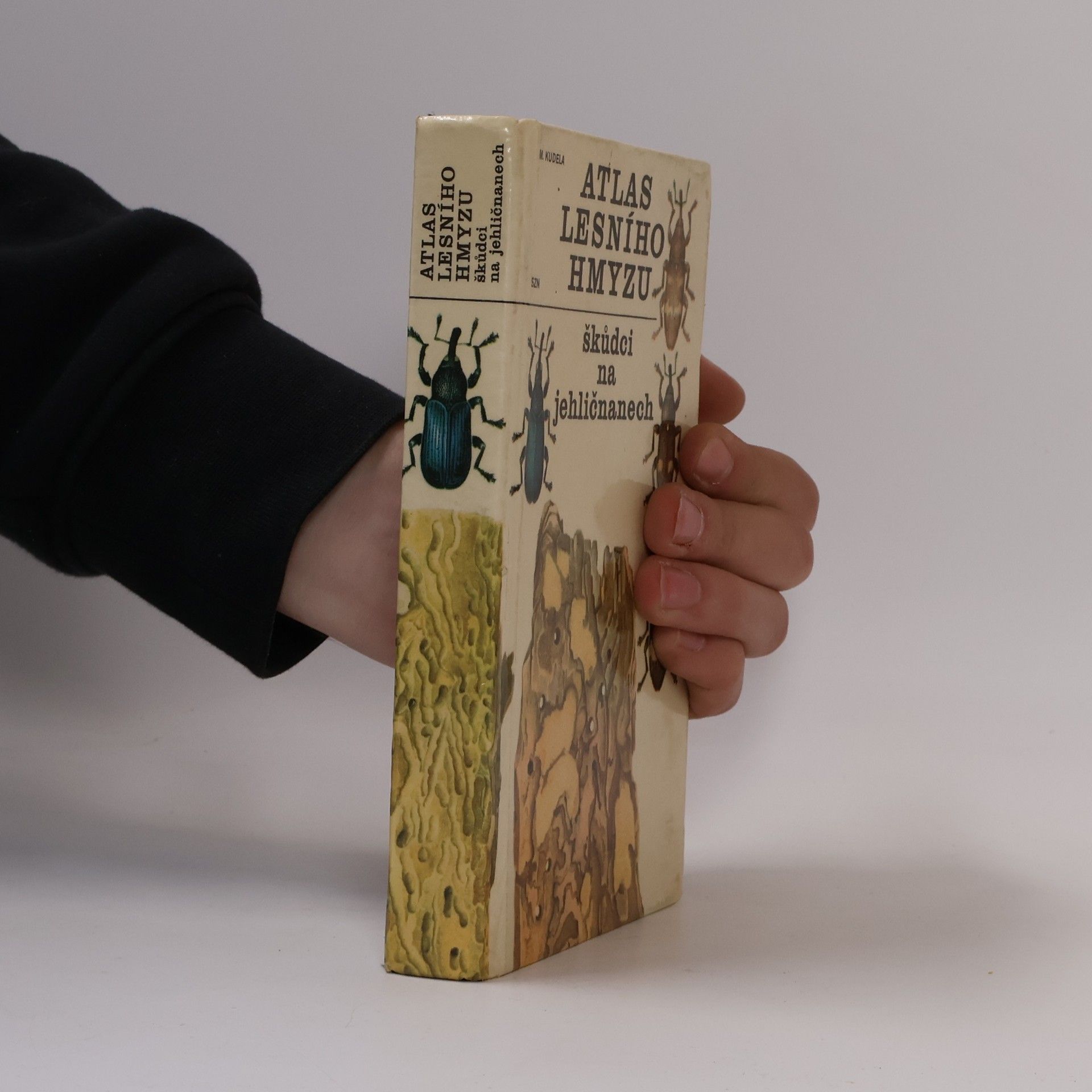 M. Kudela Atlas lesního hmyzu. Škůdci na jehličnanech