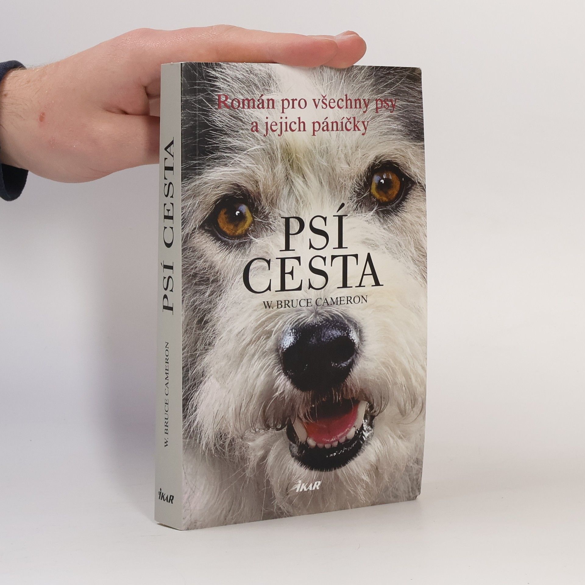 W. Bruce Cameron Psí cesta