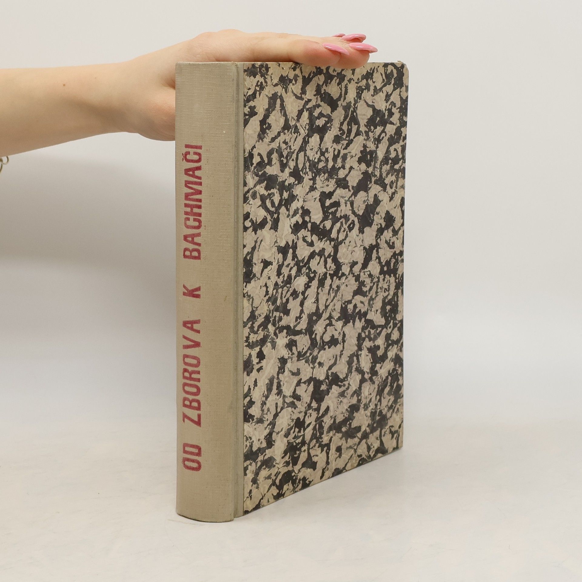 Kolektiv autorů Od Zborova k Bachmači. Památník o budování čsl. vojska na Rusi pod vedením T. G. Masaryka.