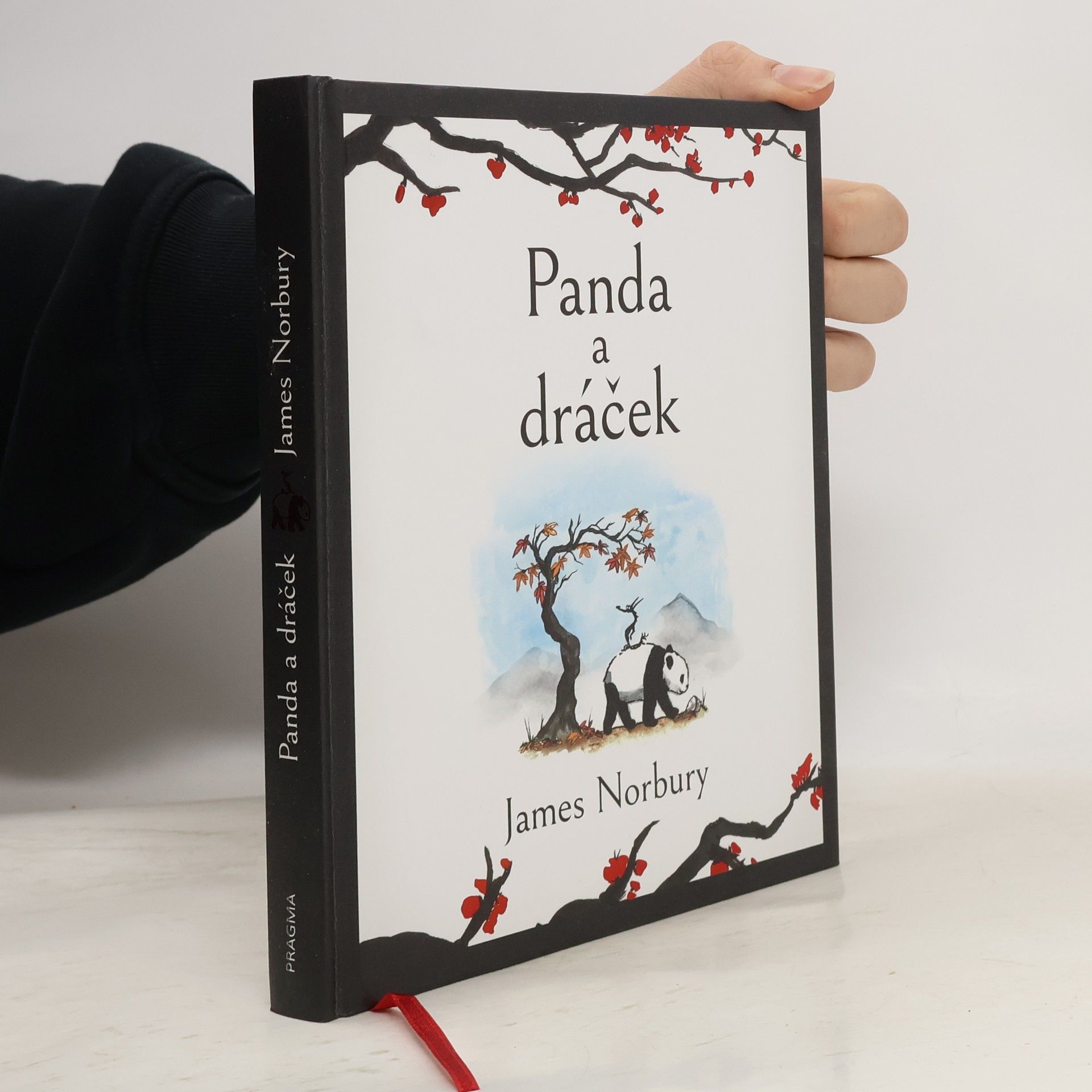 James Norbury Panda a dráček
