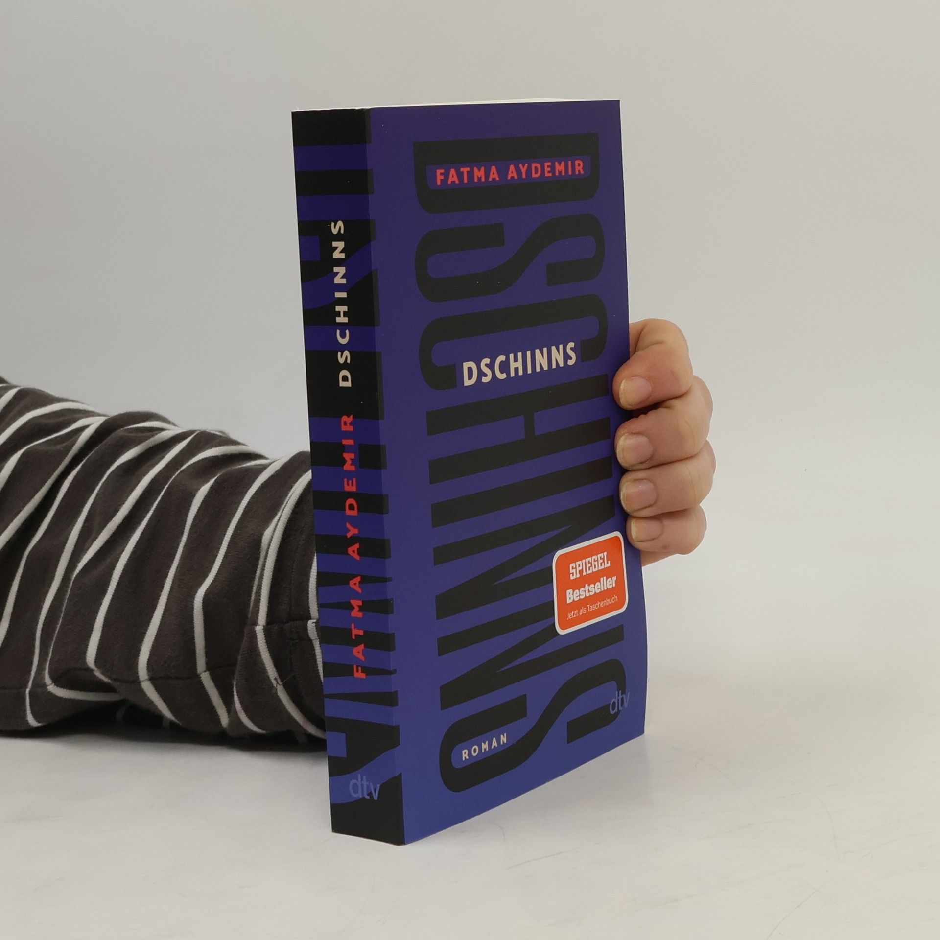 Fatma Aydemir Dschinns