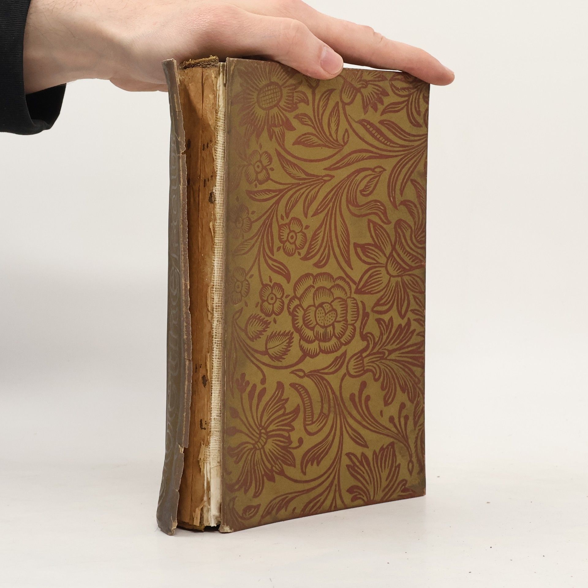 Johann Wolfgang von Goethe Faust