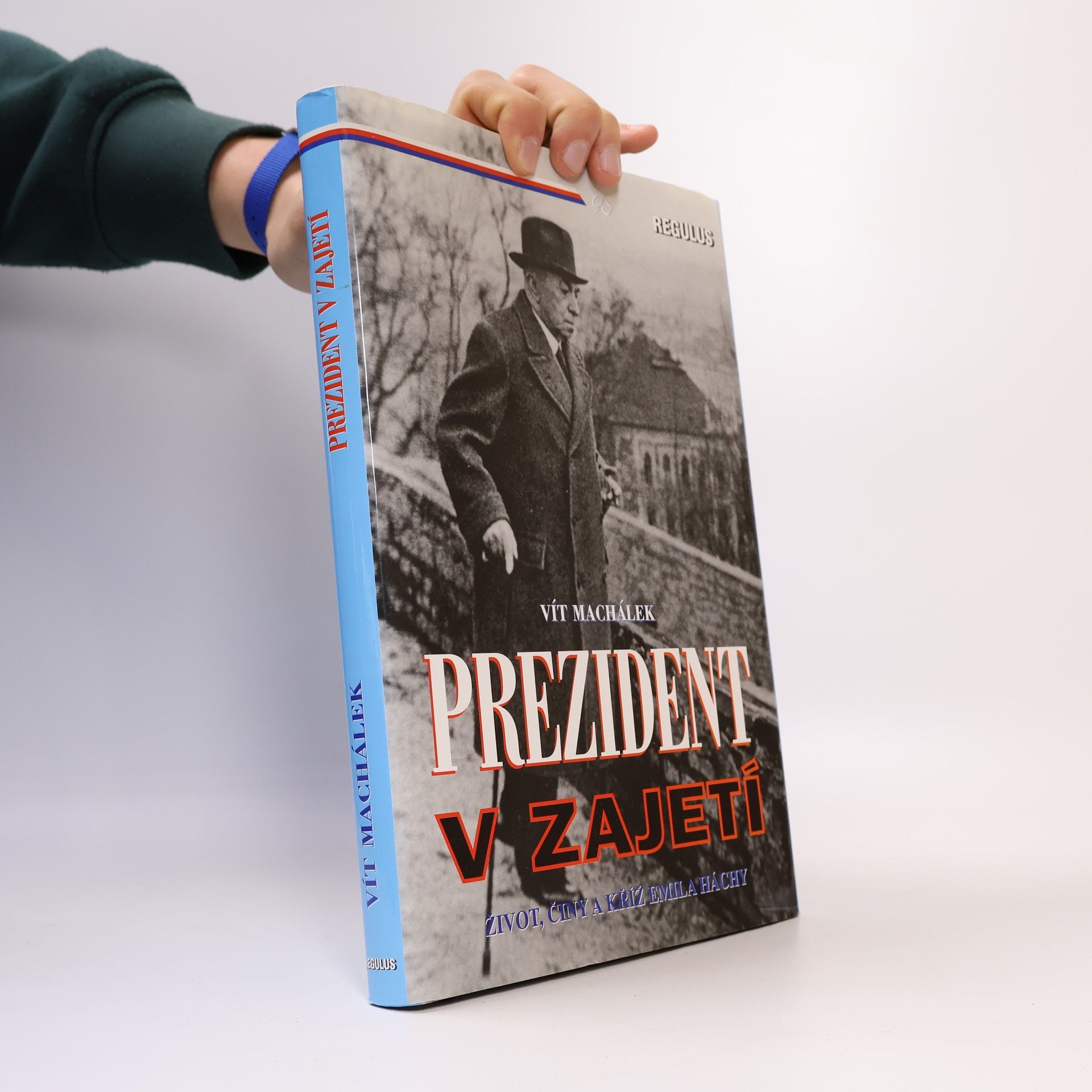 Vít Machálek Prezident v zajetí : (život, činy a kříž Emila Háchy)